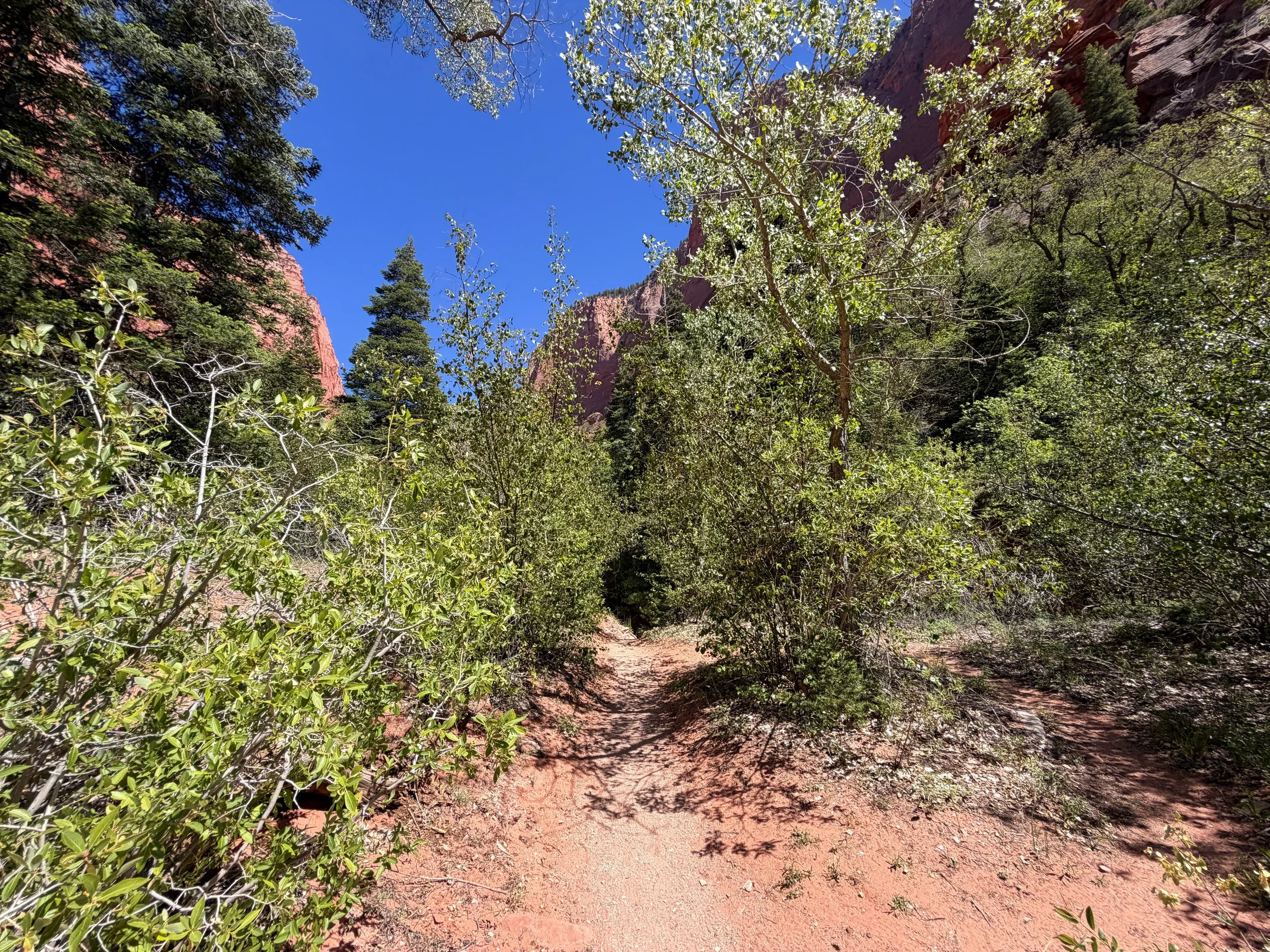 Taylor Creek Trail to Double Arch Alcove Zion National Park Utah
