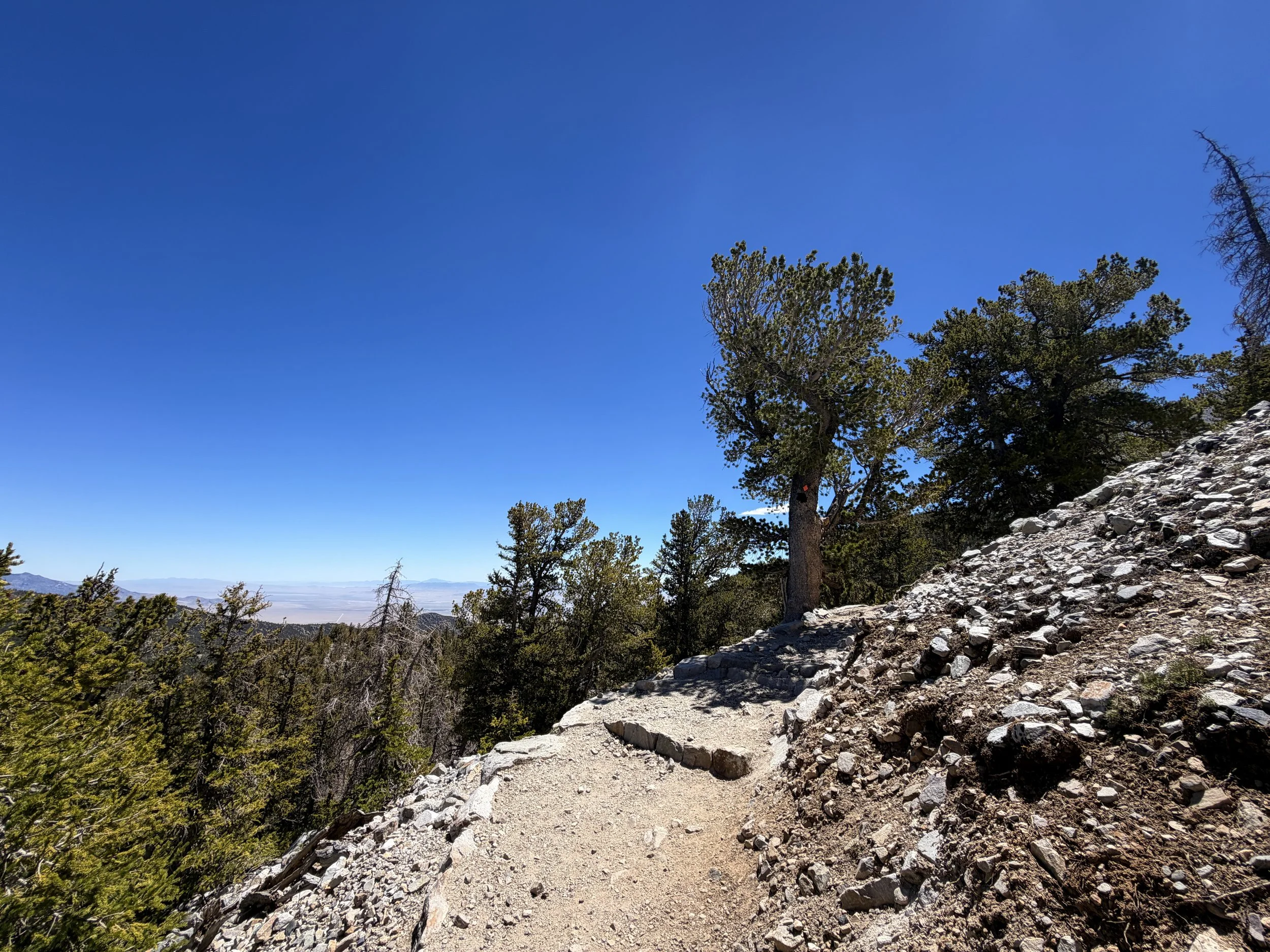 Bristlecone Pine Trail Great Basin National Park Nevada