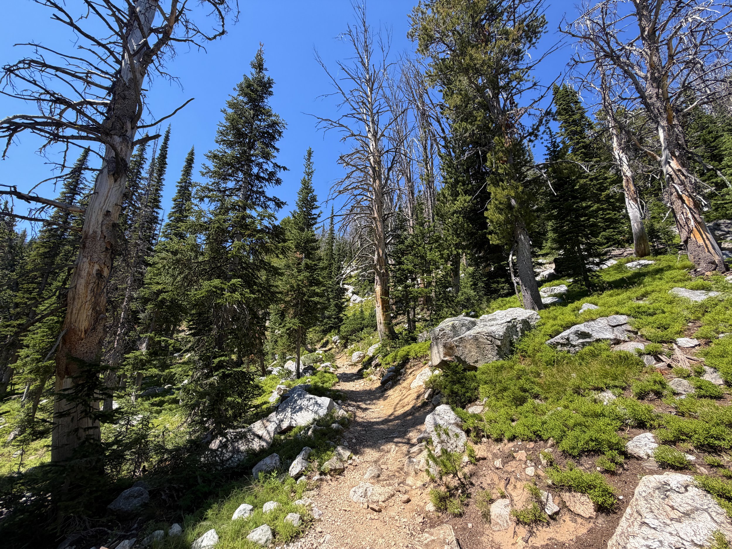 Surprise and Amphitheater Lakes Hike Grand Teton National Park Wyoming