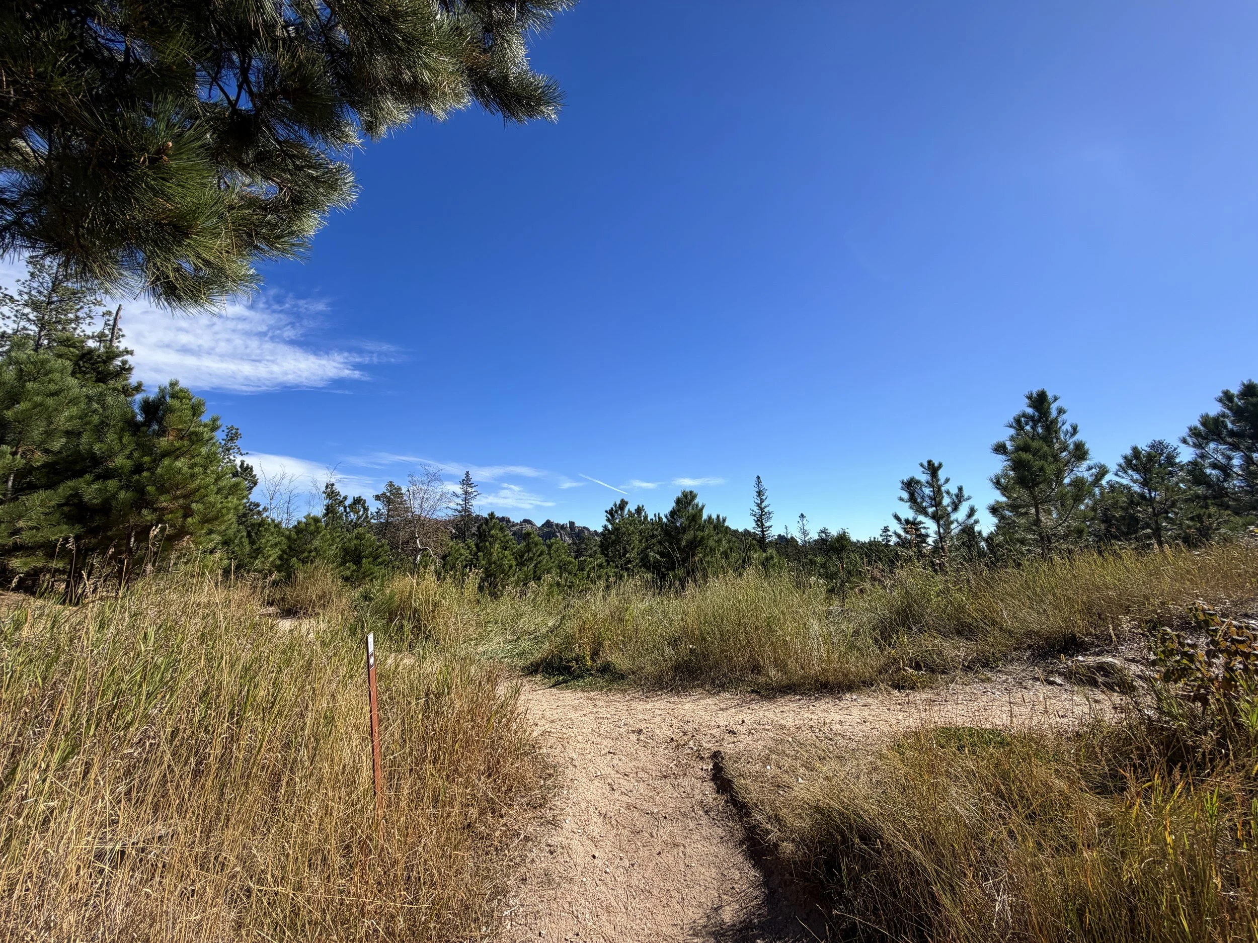 Sunday Gulch Trail Custer State Park Black Hills South Dakota