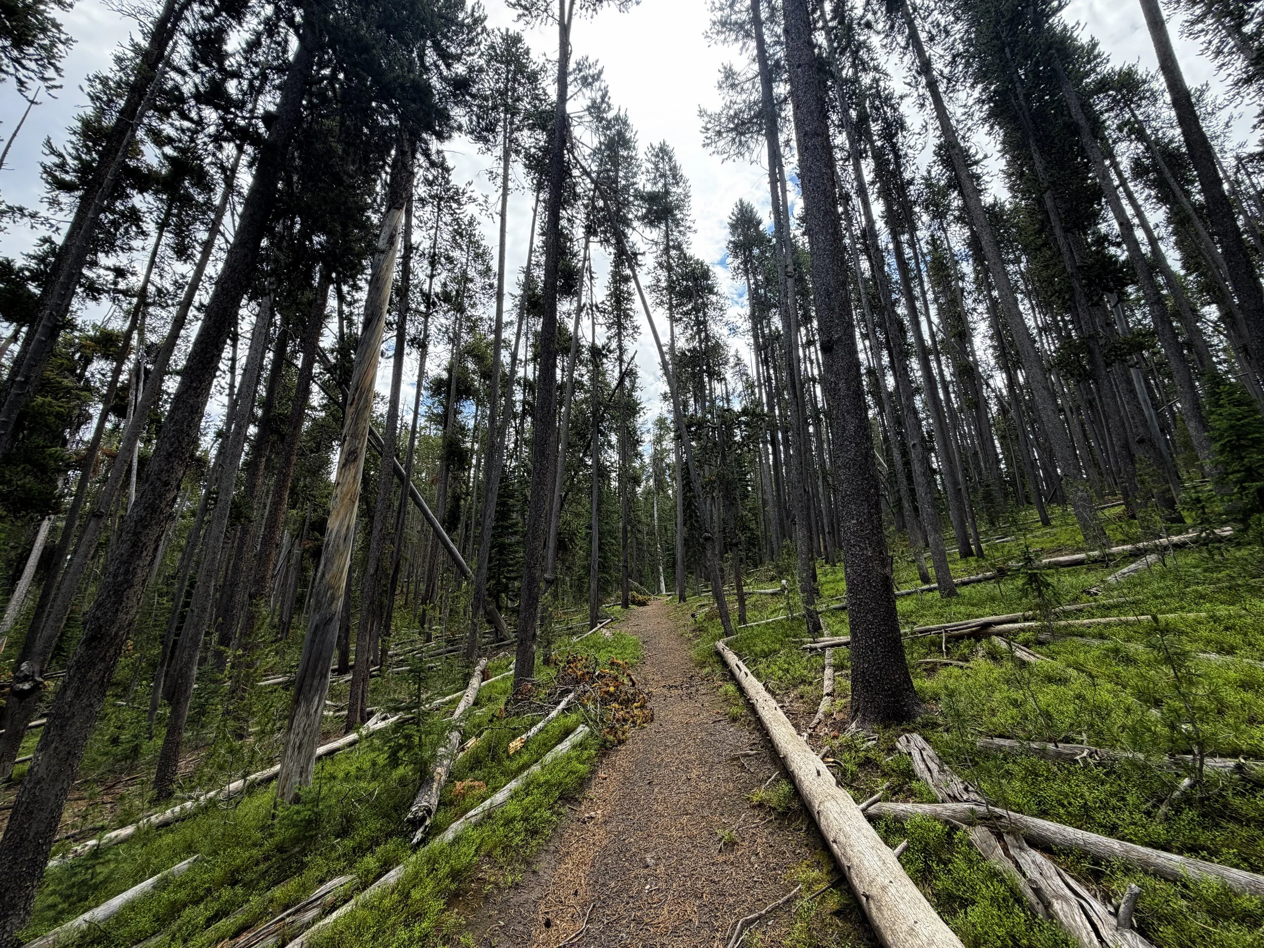 Divide Mountain Hike Yellowstone National Park Wyoming