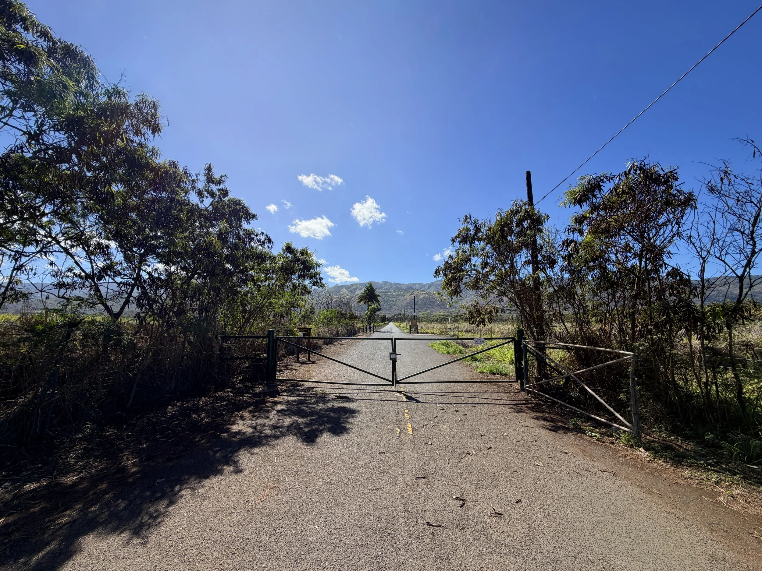 Mokuleia Forest Reserve Access Road Trailhead Oahu Hawaii