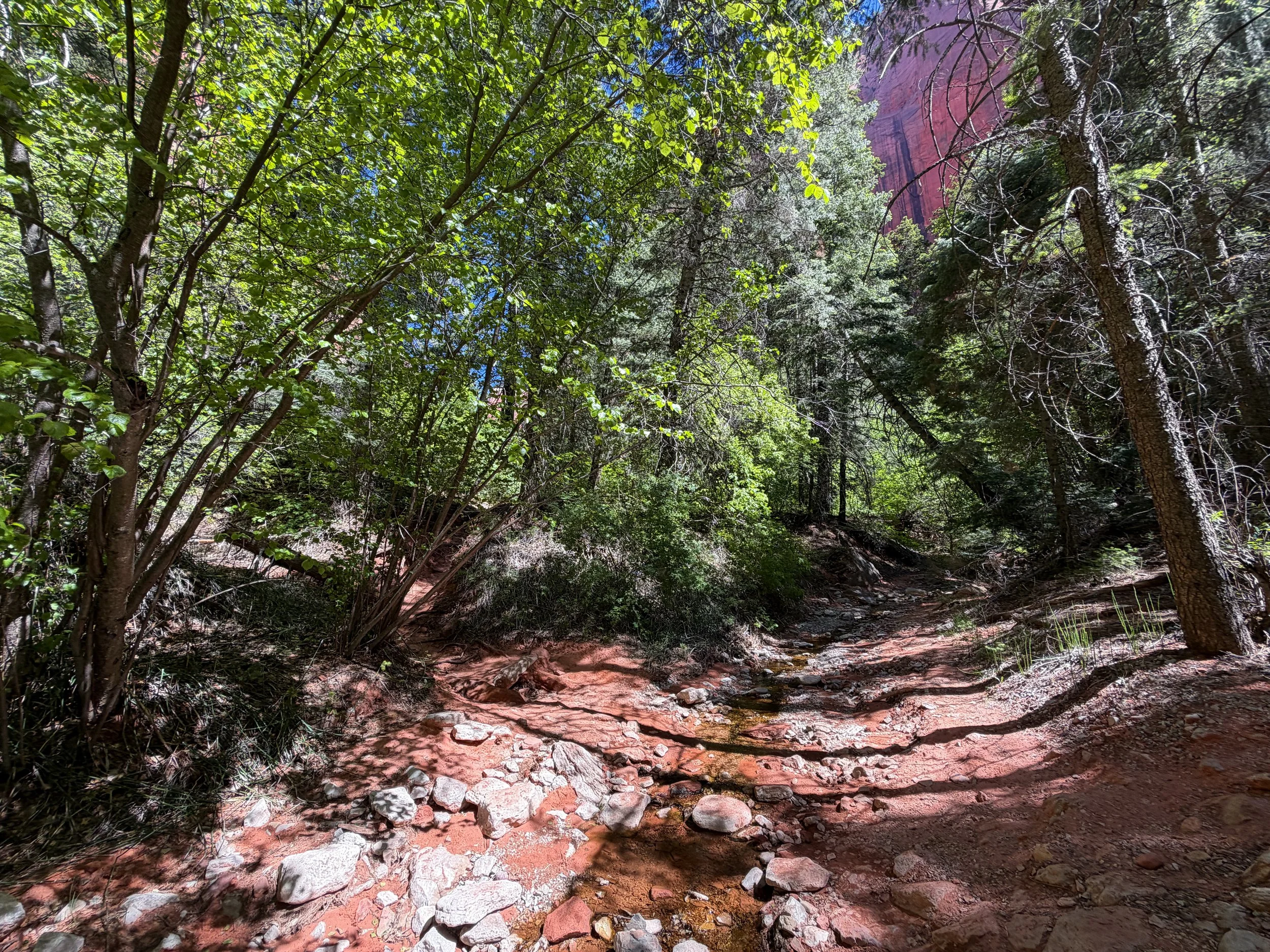 Taylor Creek Hike Zion National Park Utah