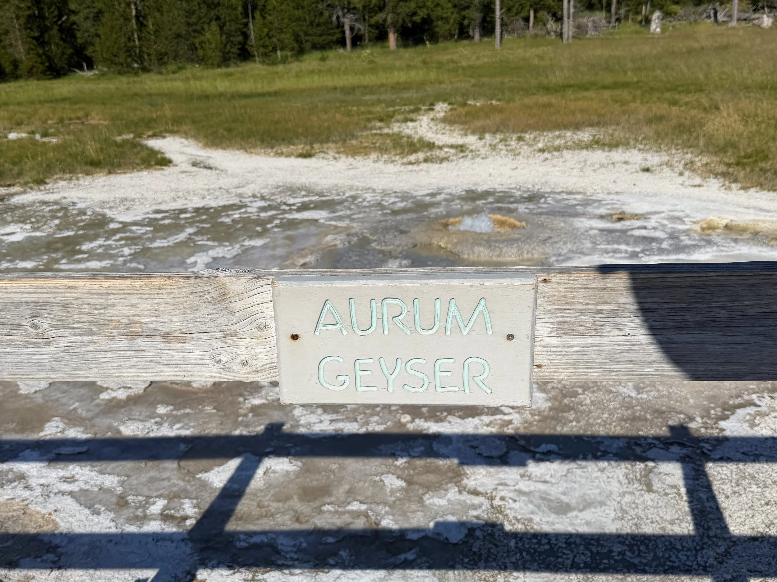 Aurum Geyser Yellowstone National Park Wyoming