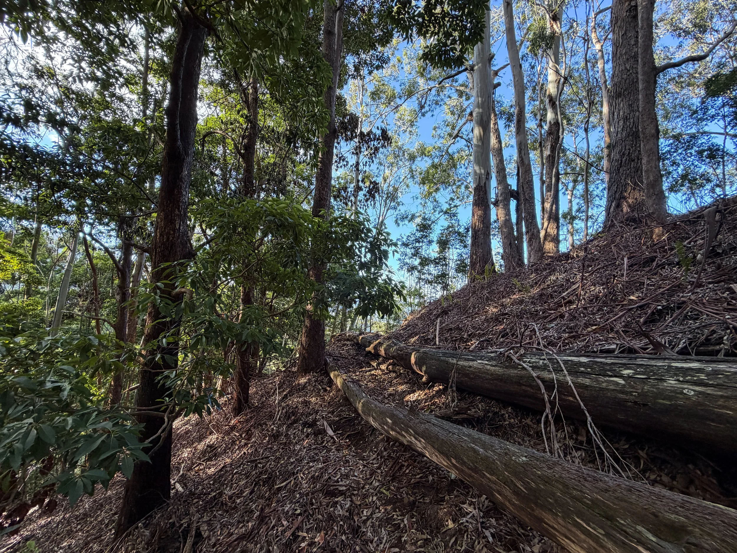 Mokuleia Trail Oahu Hawaii