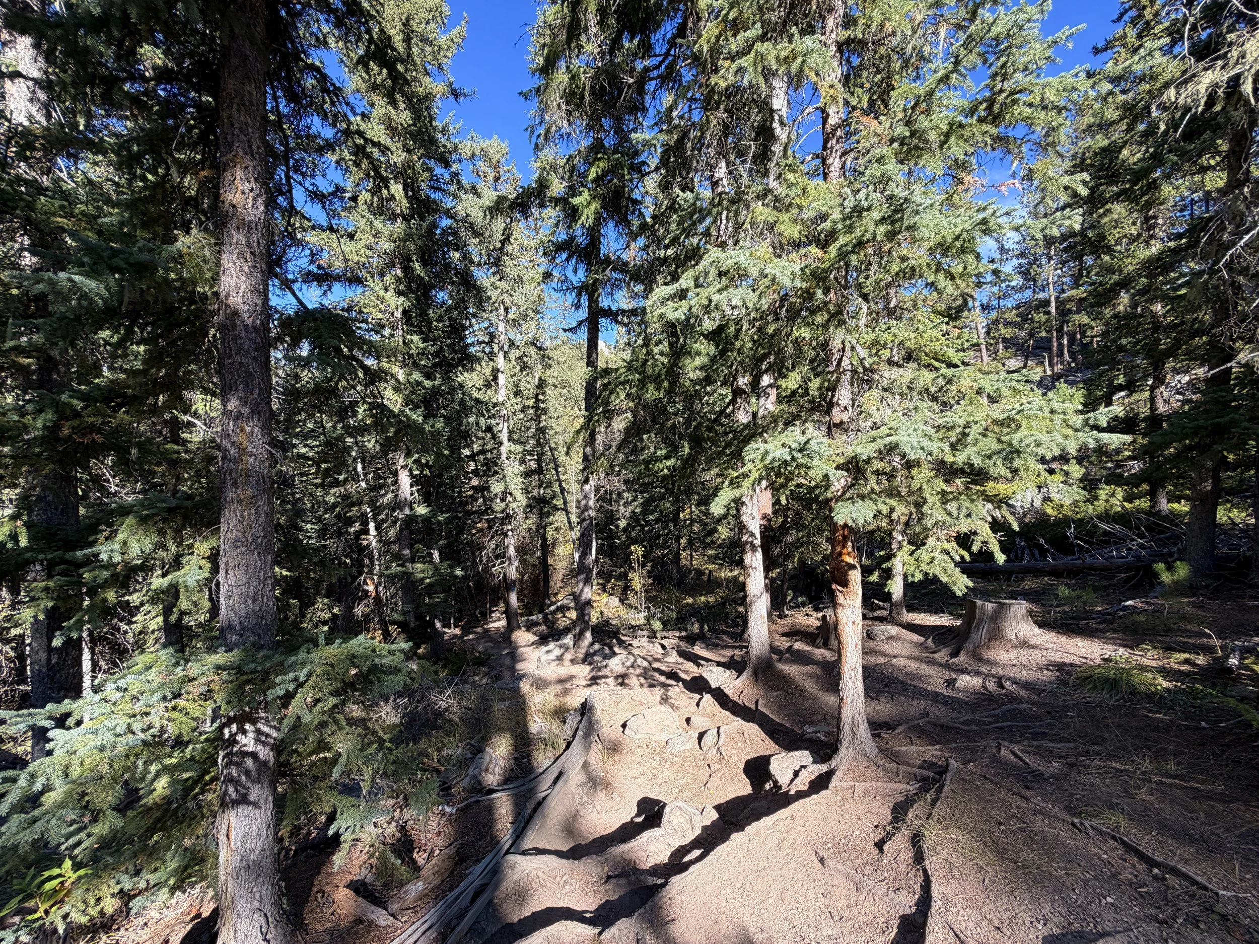 Sunday Gulch Hike Custer State Park Black Hills South Dakota