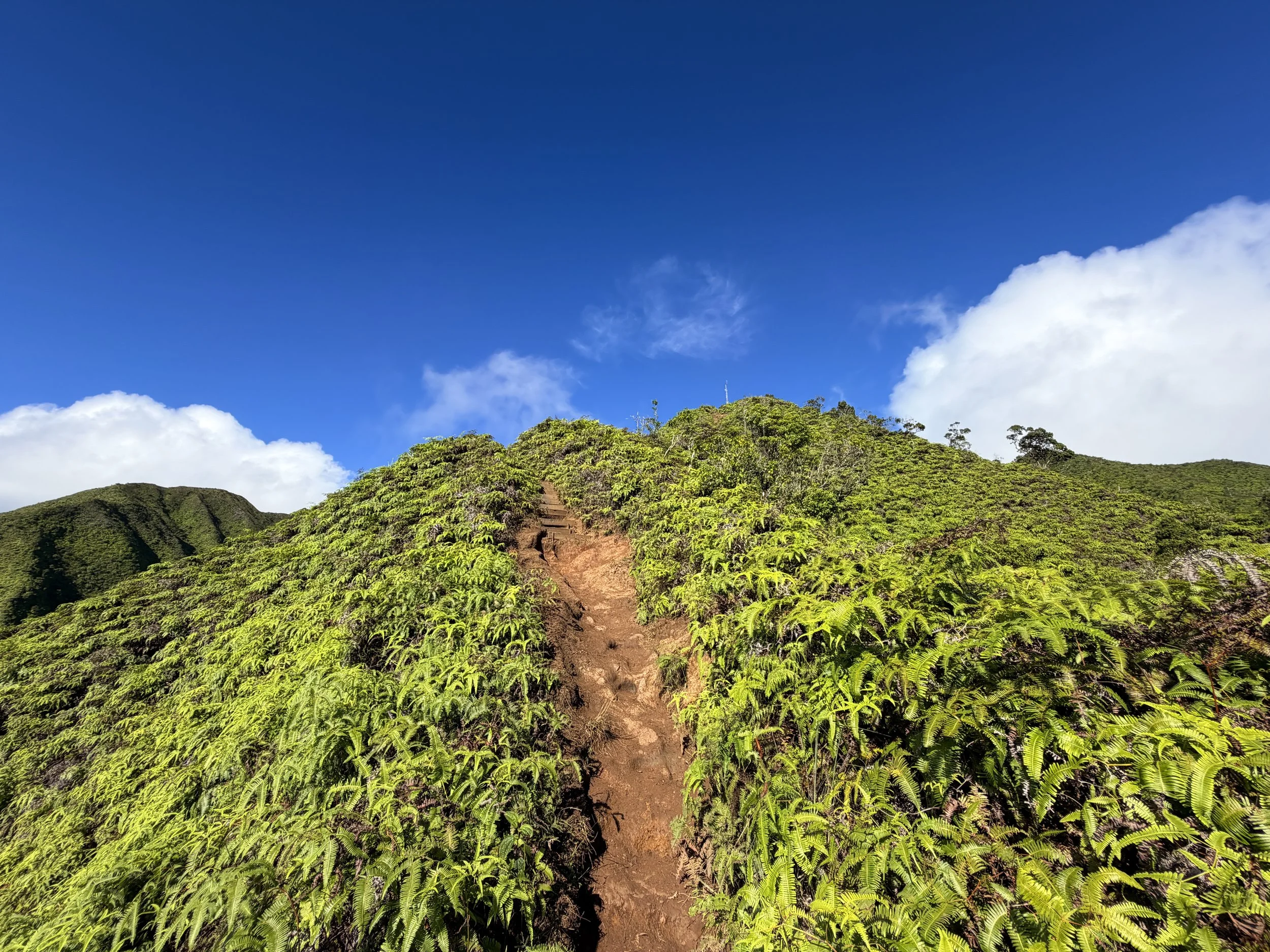 Wiliwilinui Ridge Trail Stairs Oahu Hawaii