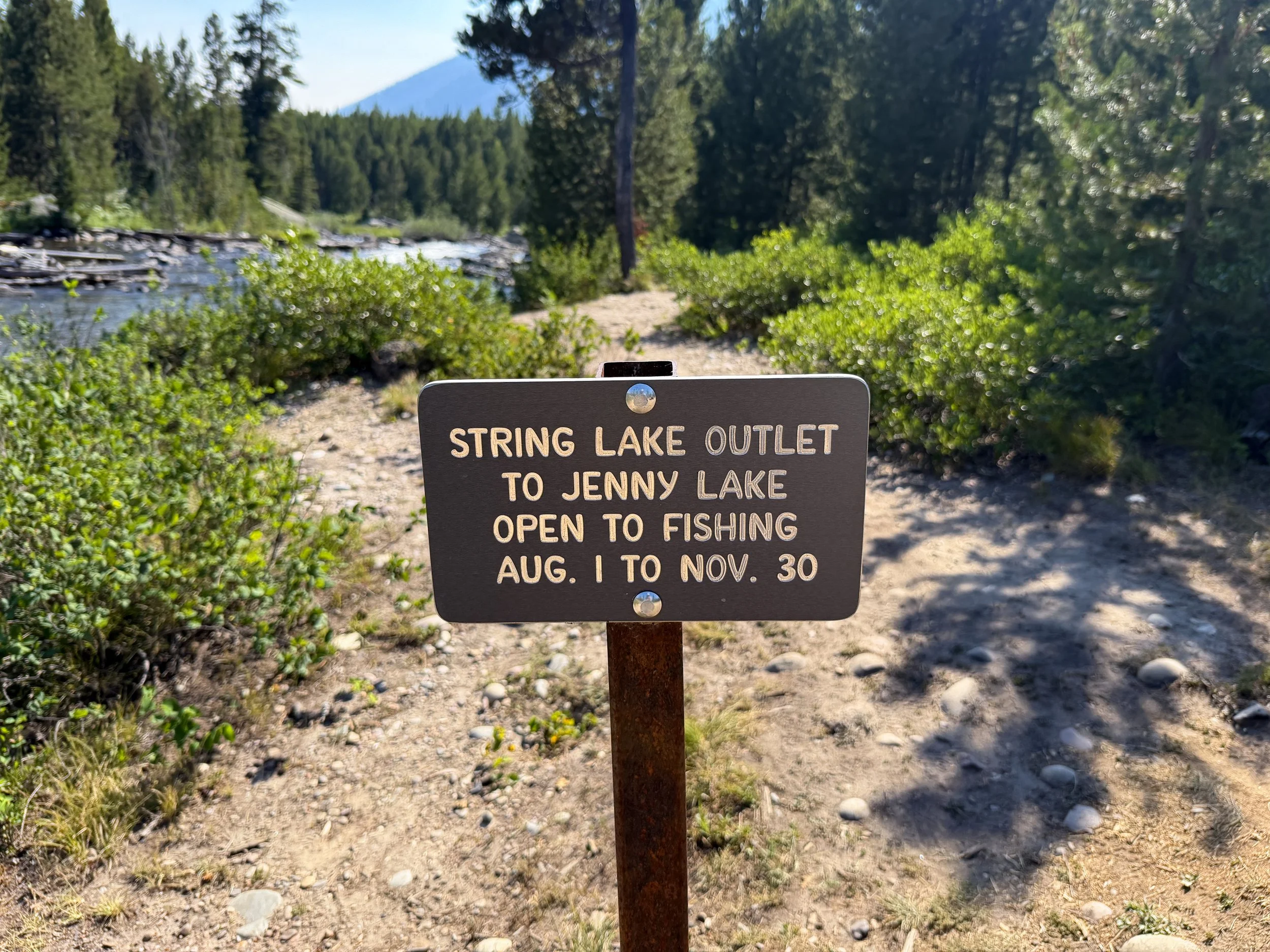 Jenny Lake Loop Hike Grand Teton National Park Wyoming
