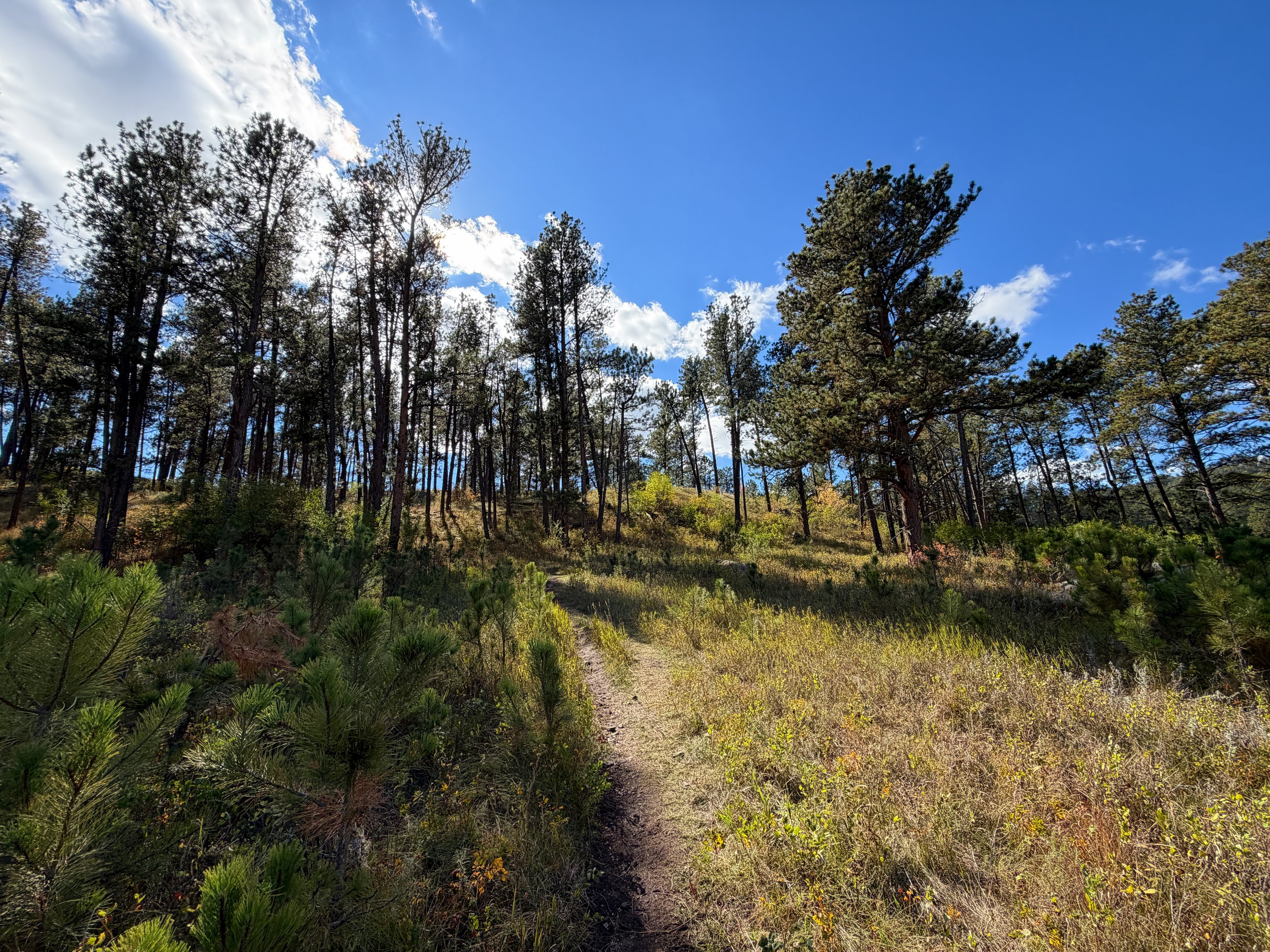 Lookout Point Loop Trail Wind Cave National Park South Dakota