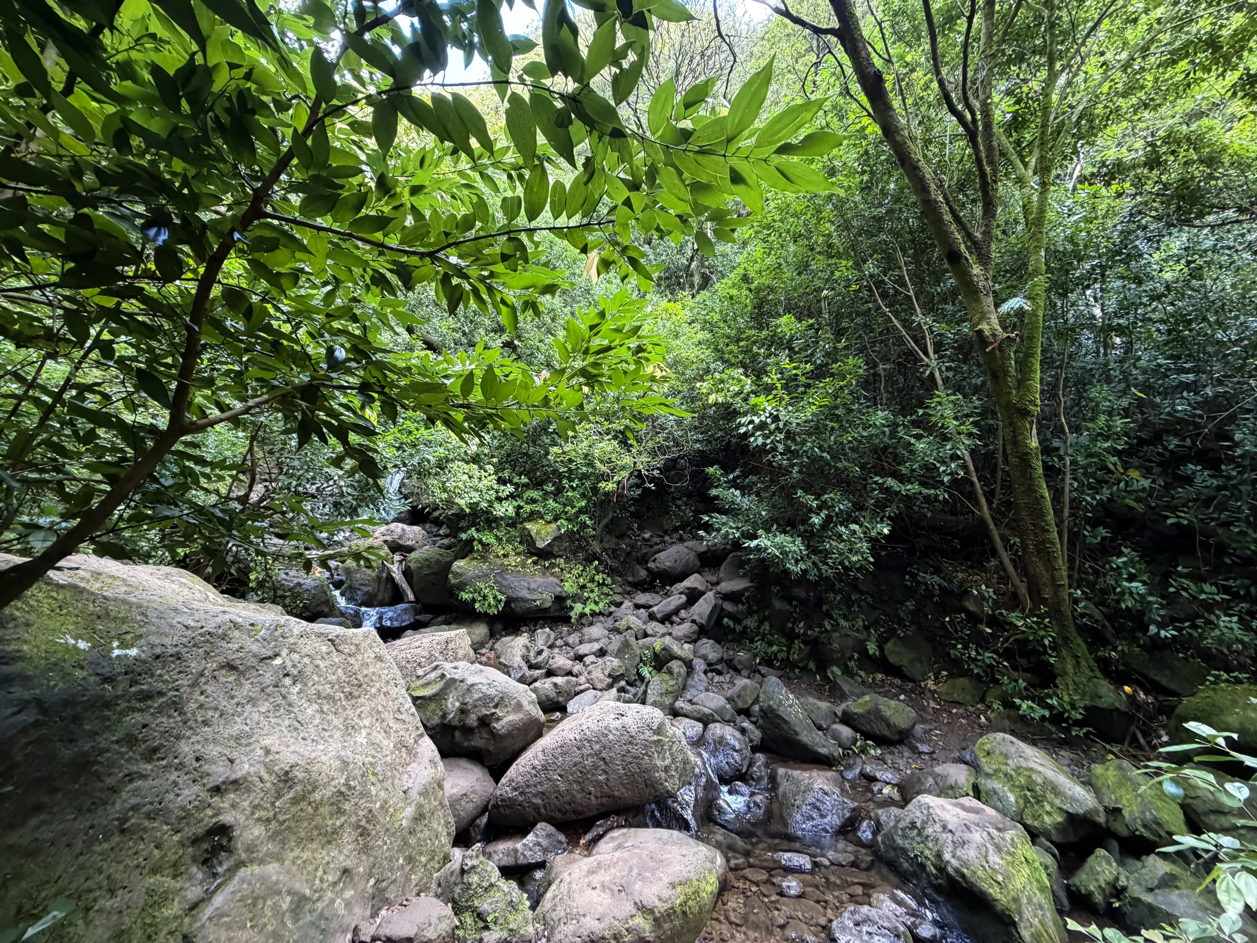 Lulumahu Falls Trail Oahu Hawaii