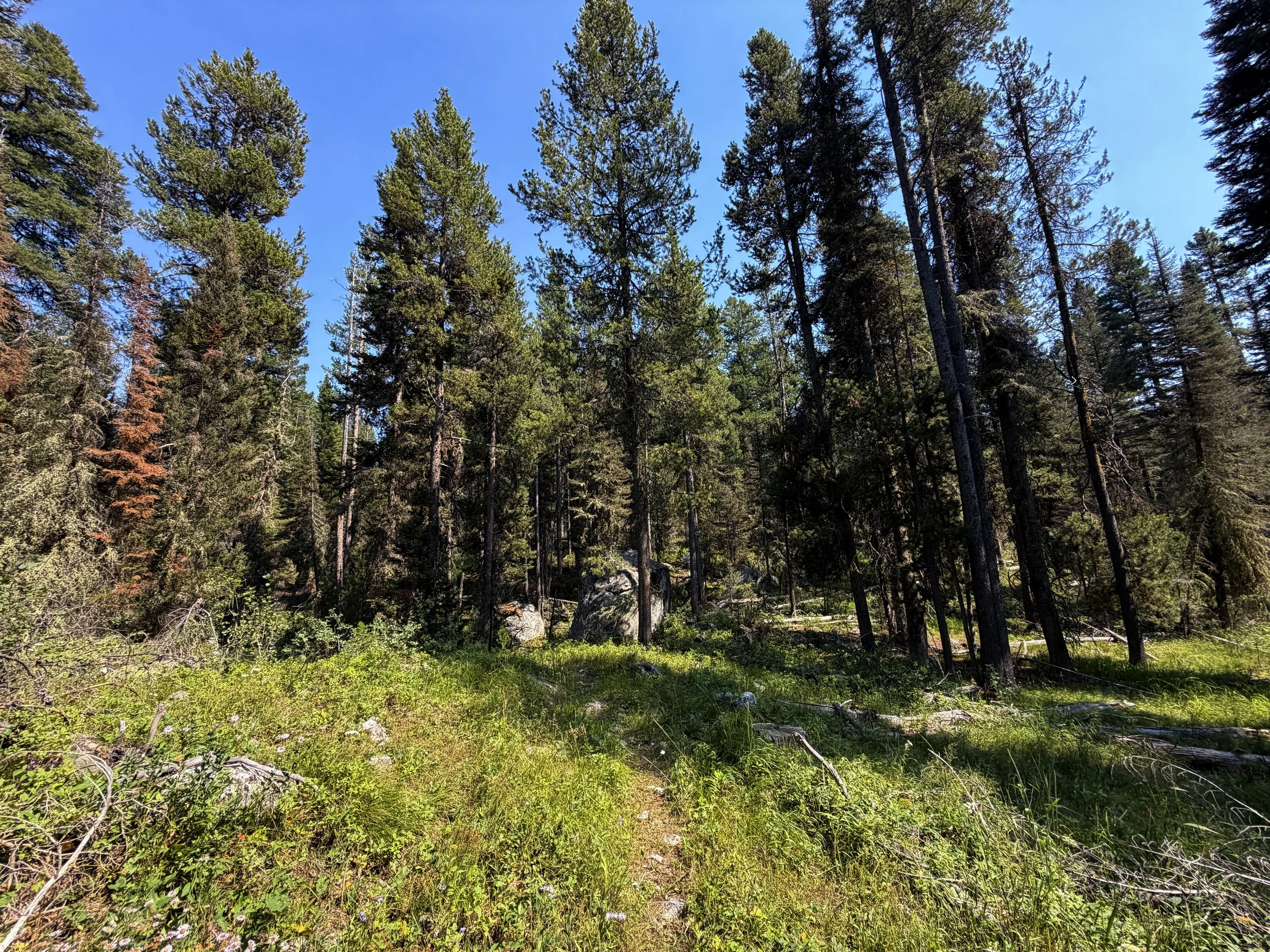 Boulder Field Trail Grand Teton National Park Wyoming