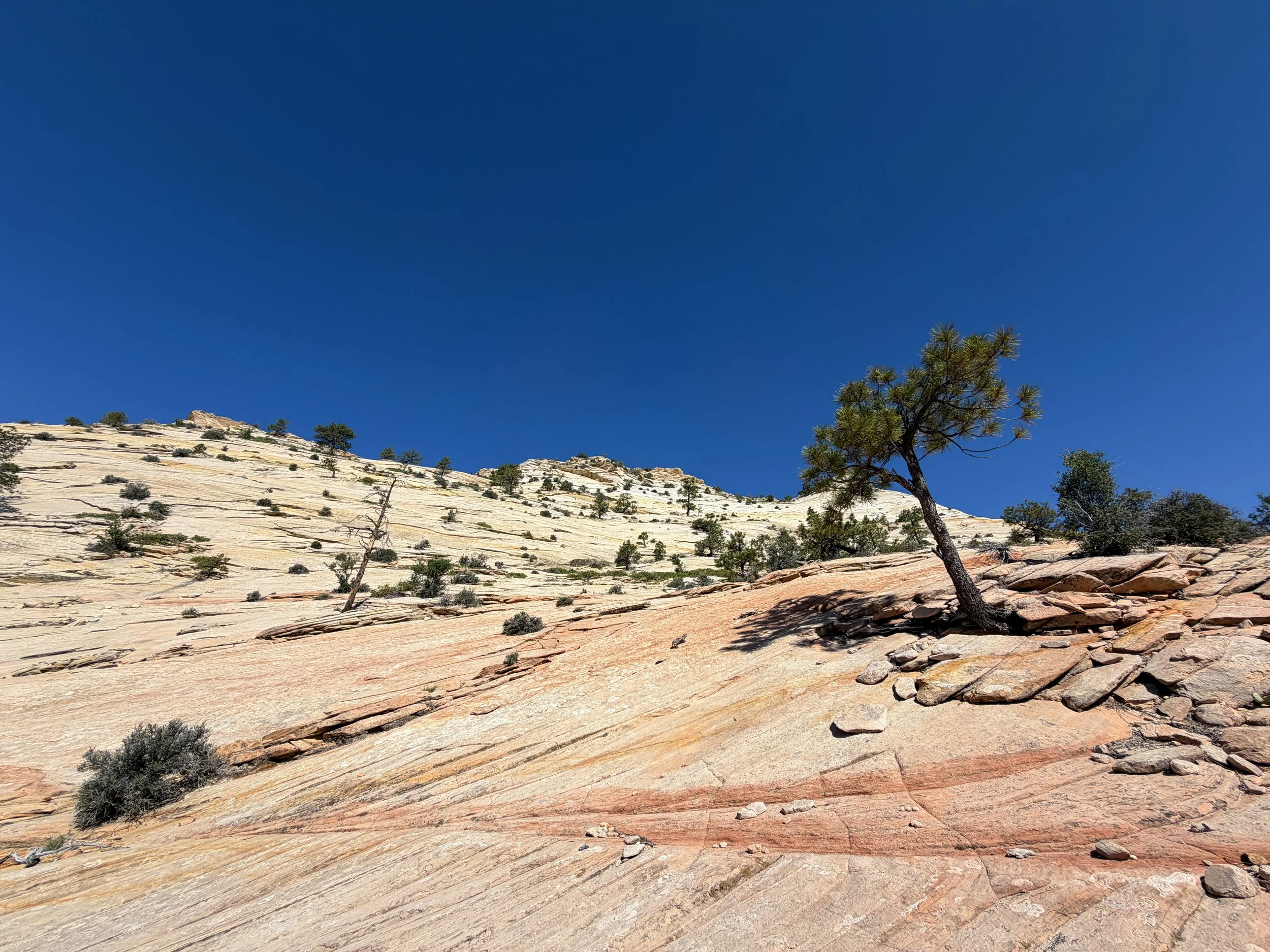 South Ariel Peak Trail Zion National Park Utah