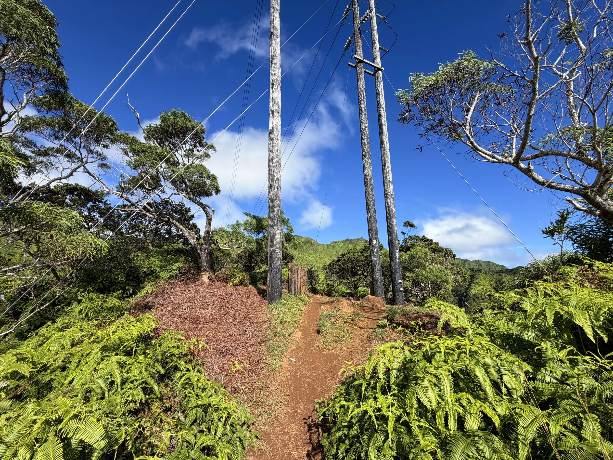 Wiliwilinui Ridge Trail Oahu Hawaii