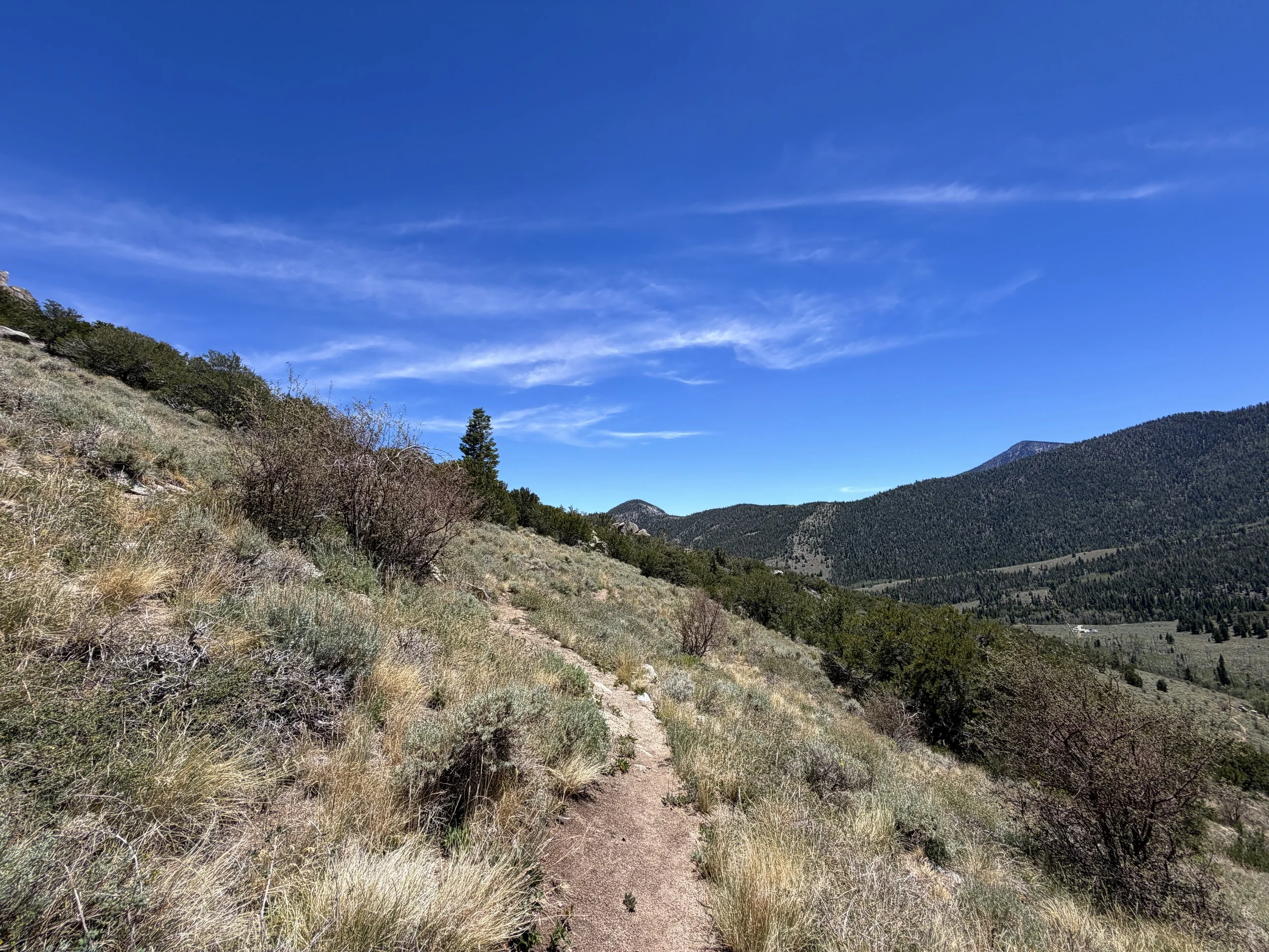 Serviceberry Loop Trail Great Basin National Park Nevada