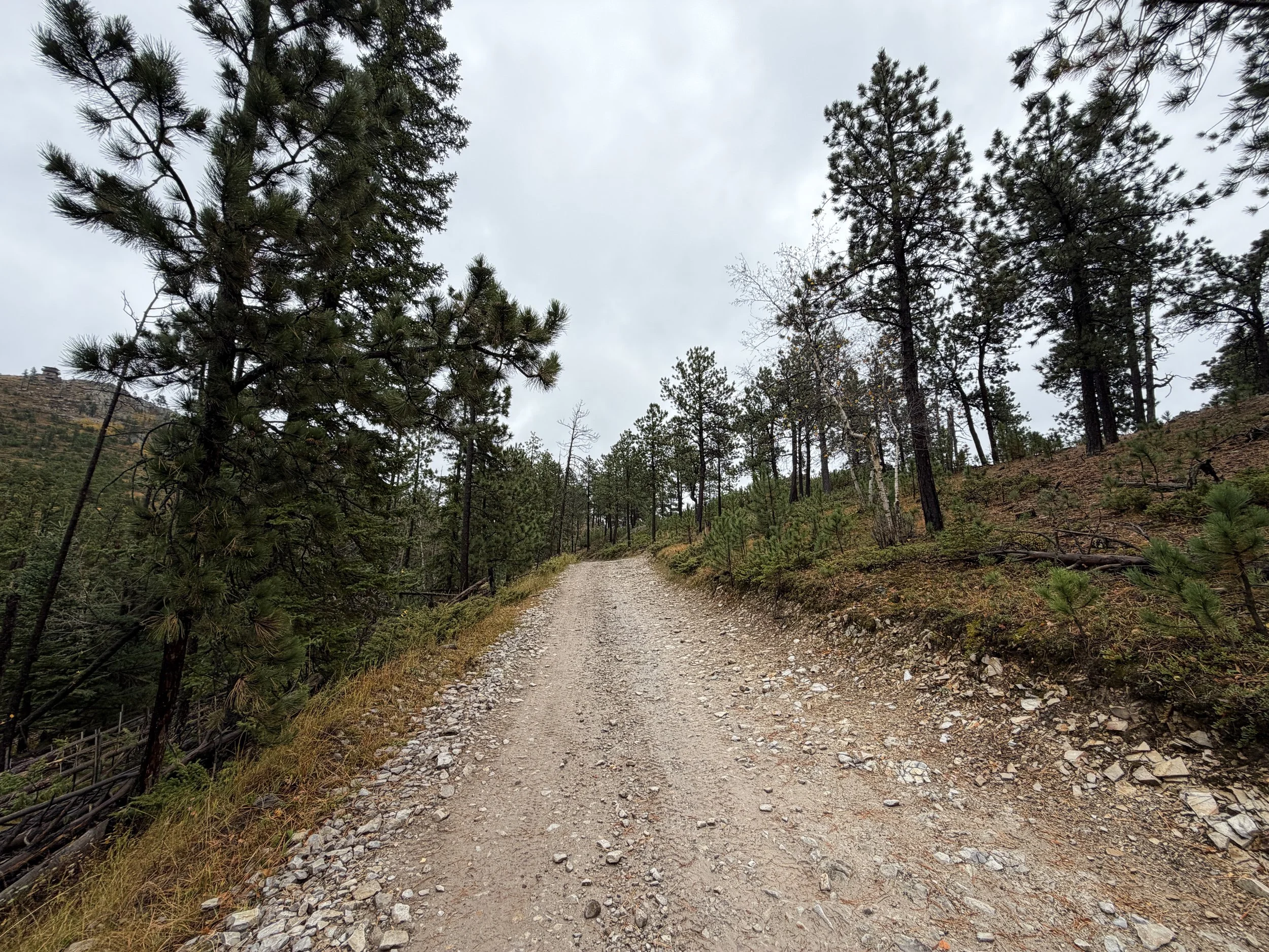 Custer Peak Fire Lookout Trail Black Hills South Dakota