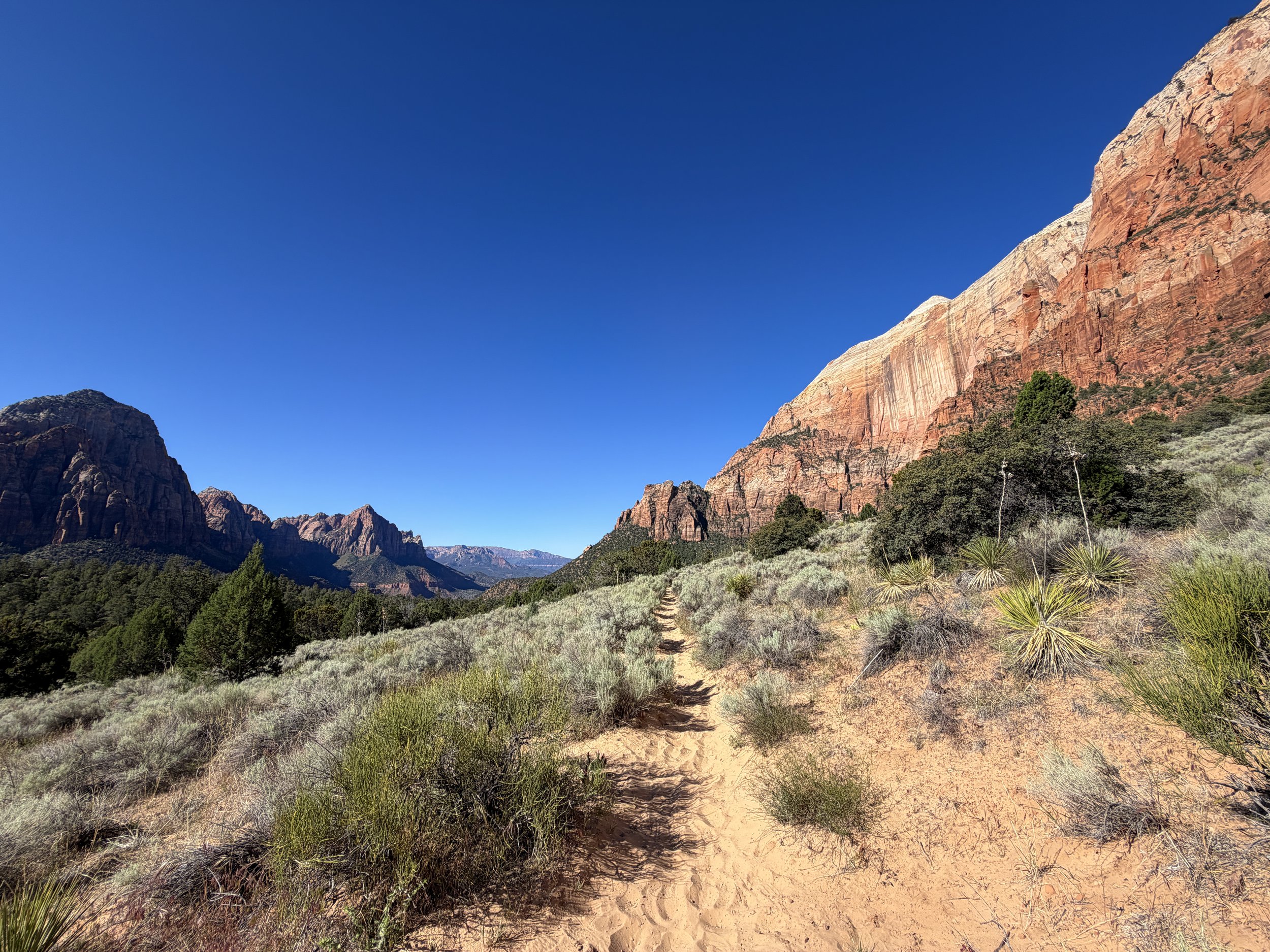 Sand Bench Hike Zion National Park Utah