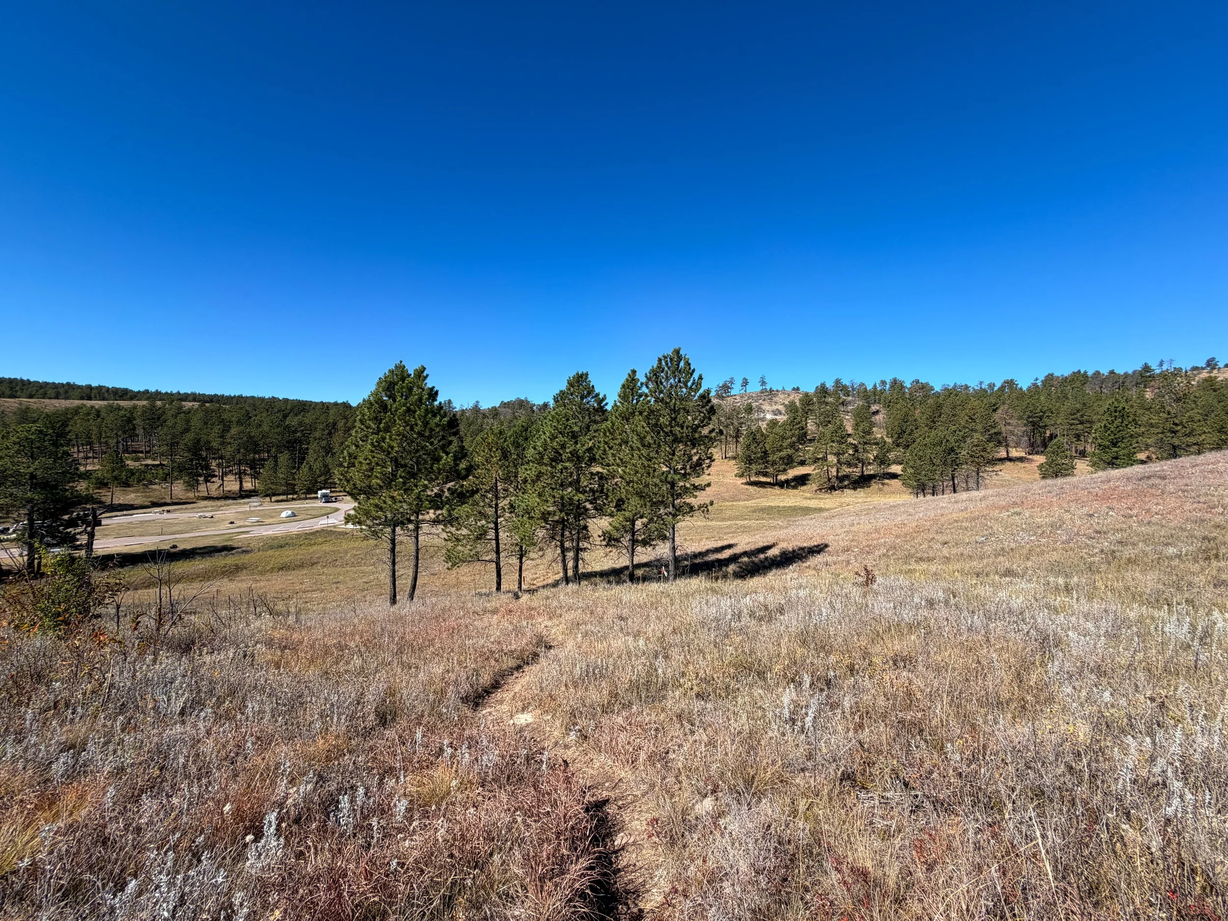 Elk Mountain Loop Trail Wind Cave National Park South Dakota
