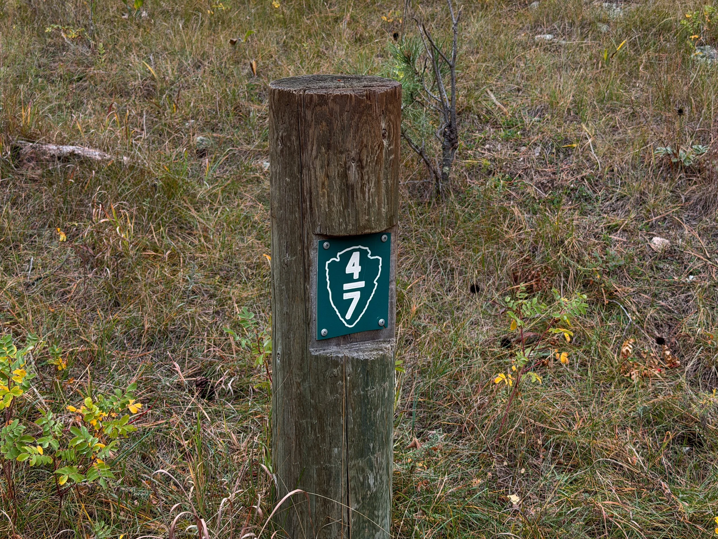 Highland Creek Trail to Lookout Point Wind Cave National Park South Dakota