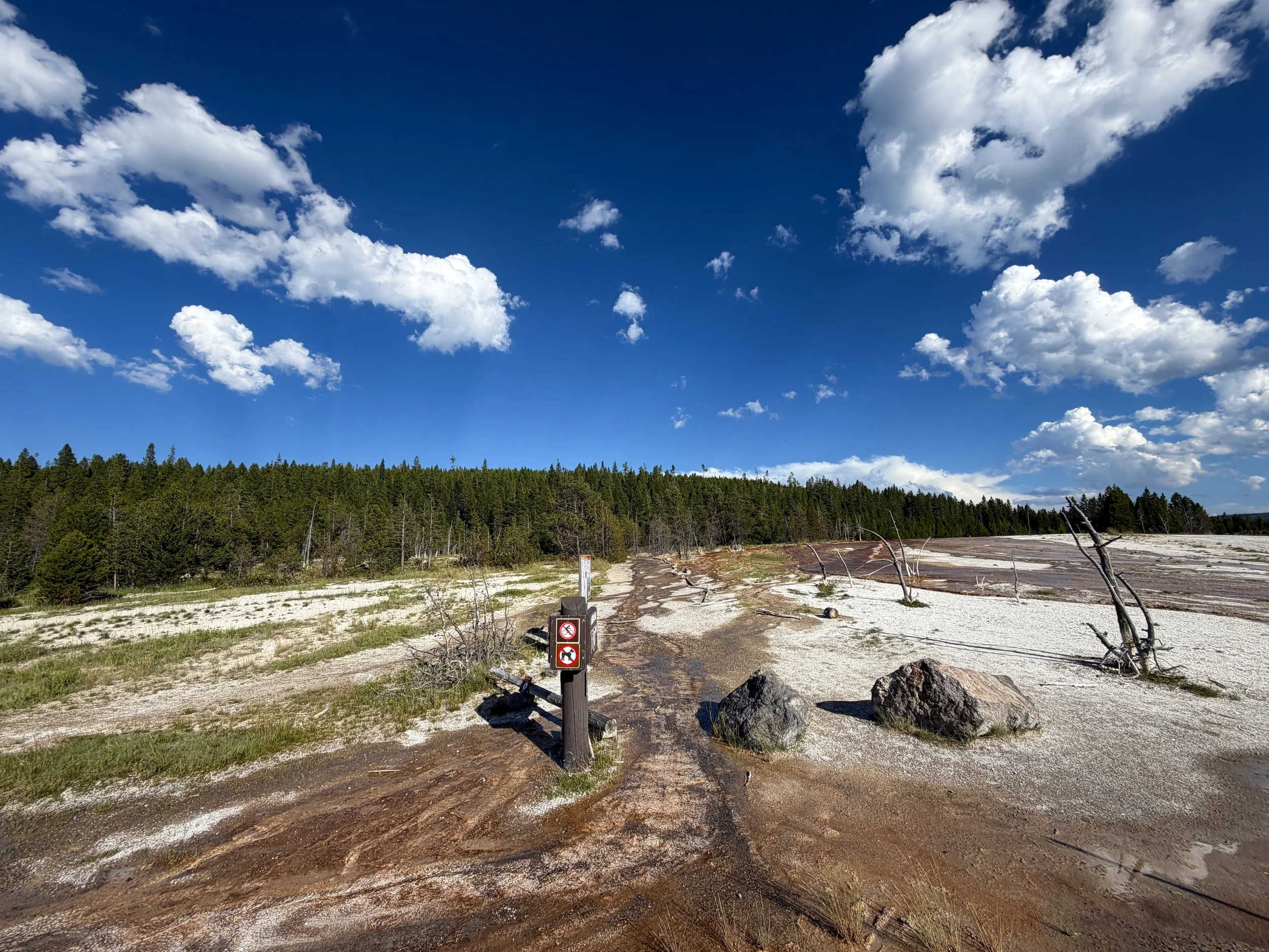Artemisia Trailhead Yellowstone National Park Wyoming