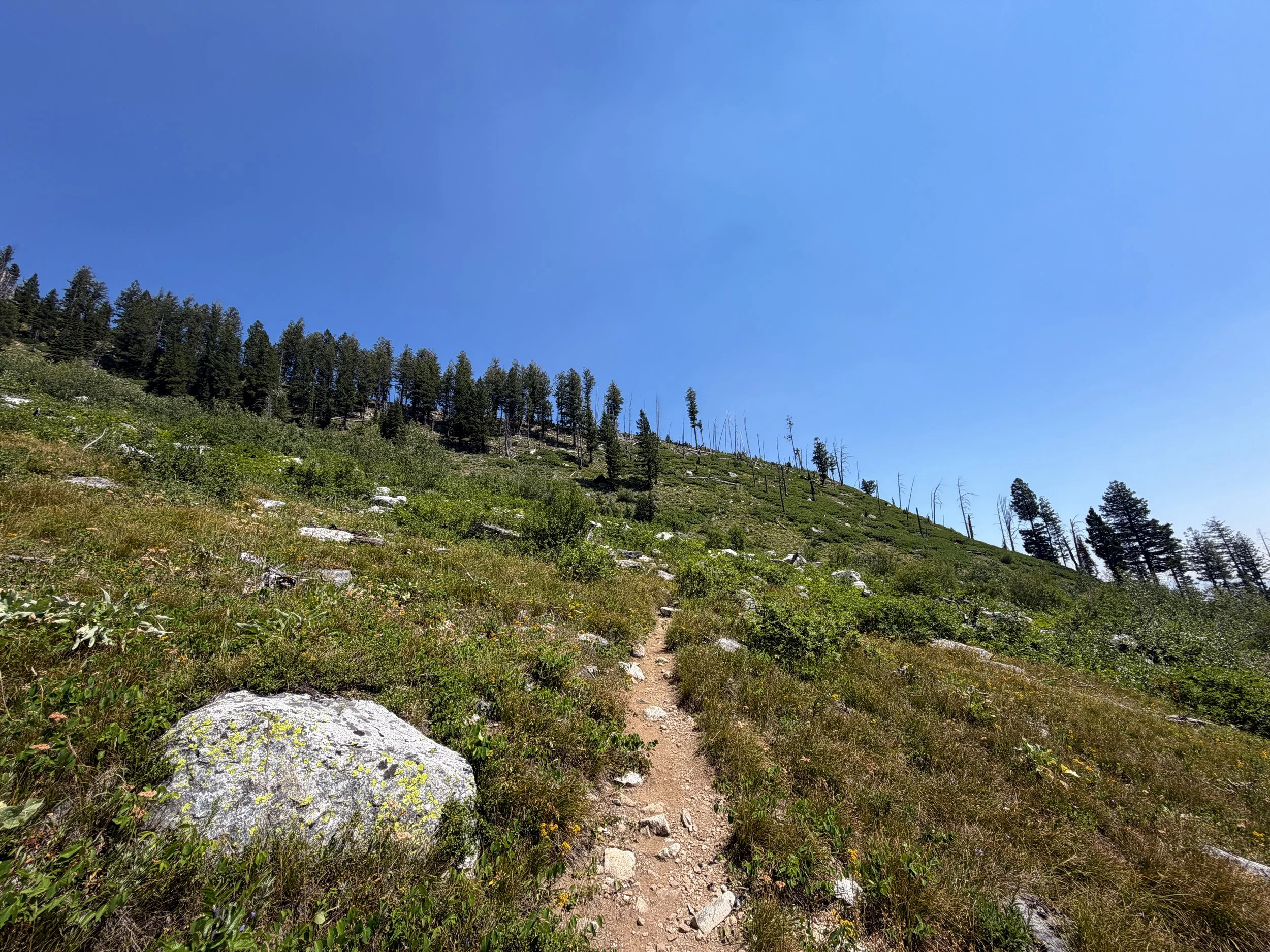 Lake of the Crags Hike Grand Teton National Park Wyoming