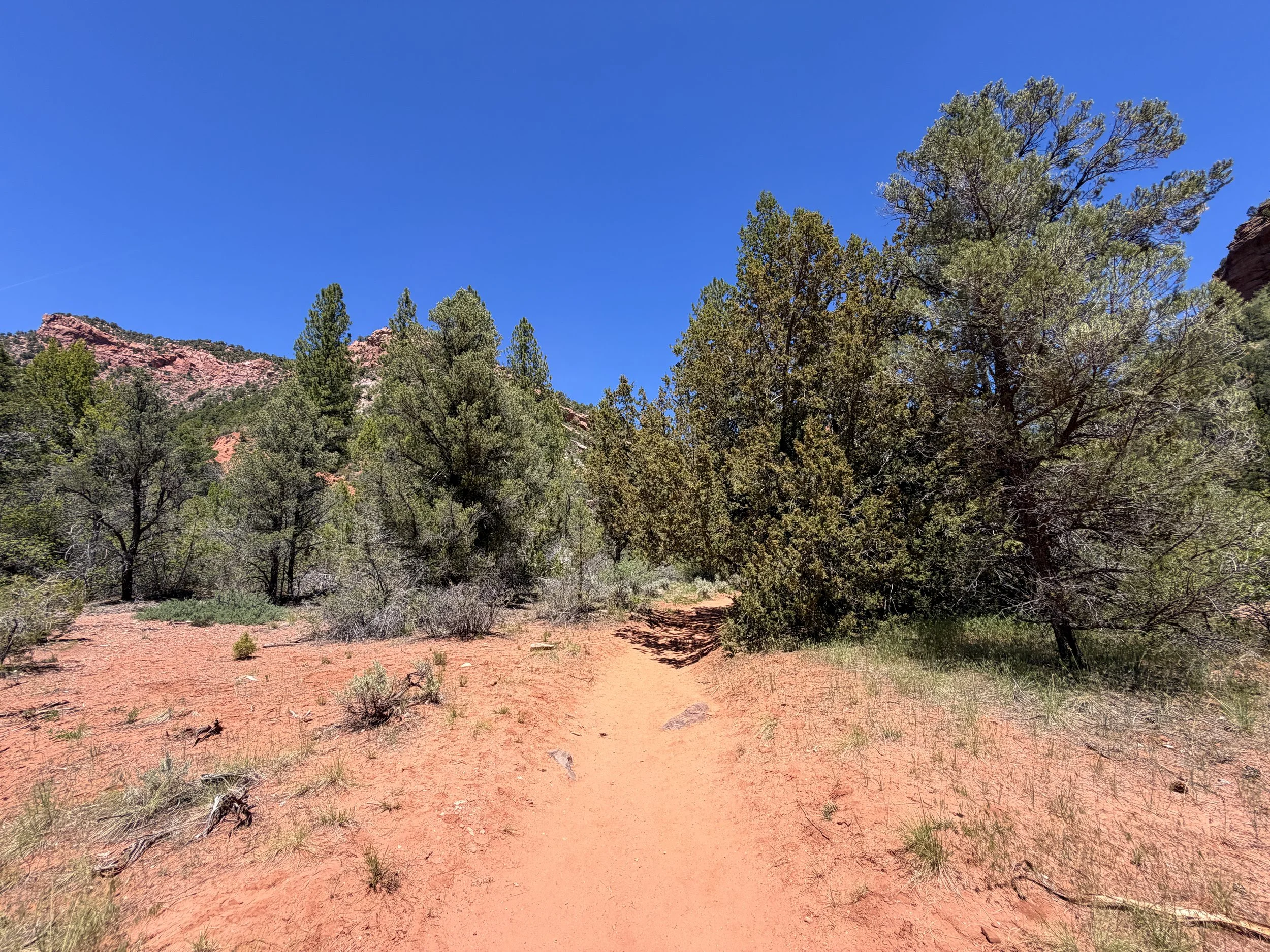 Taylor Creek Trail Zion National Park Utah