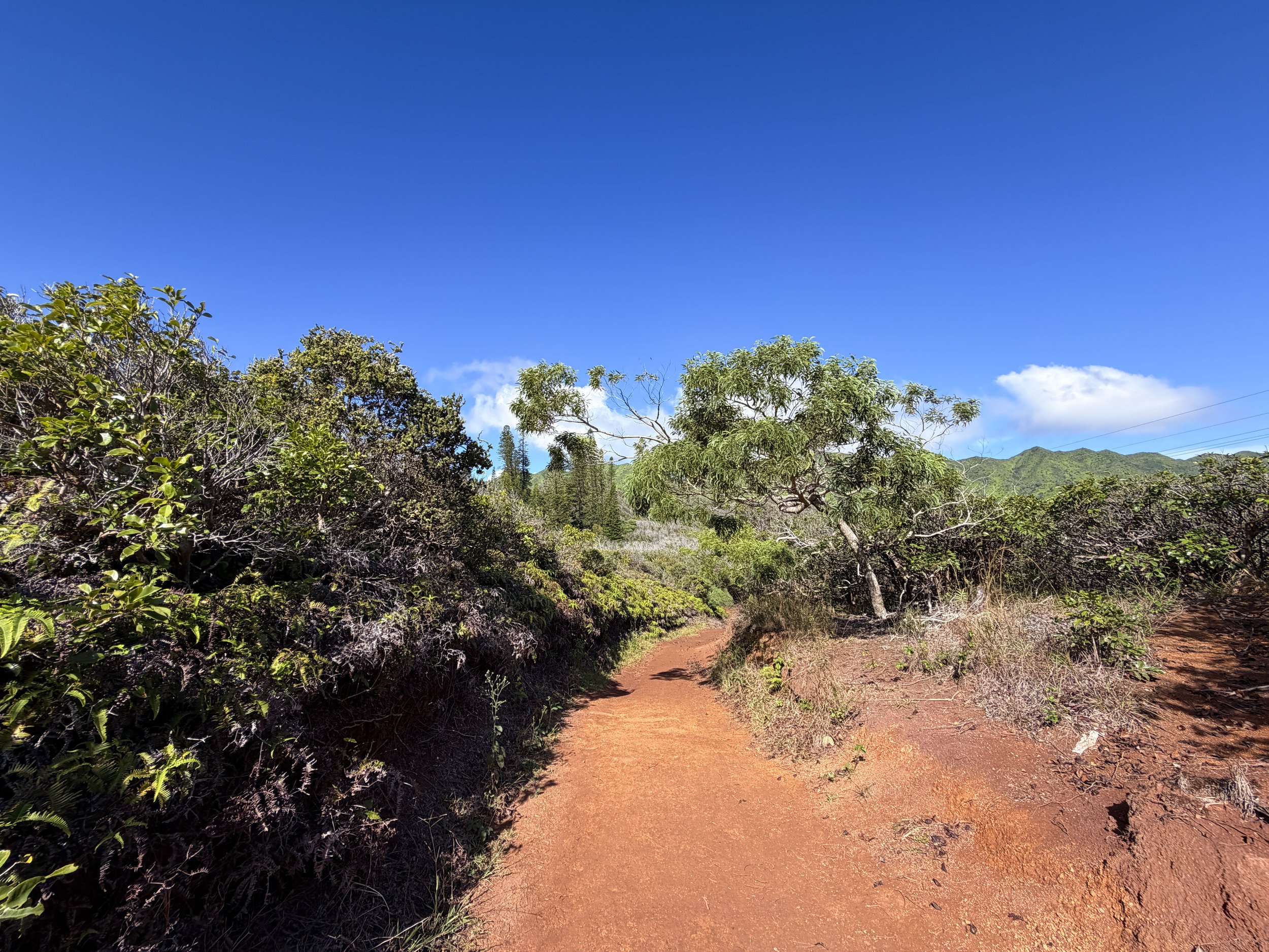 Wiliwilinui Ridge Hike Oahu Hawaii