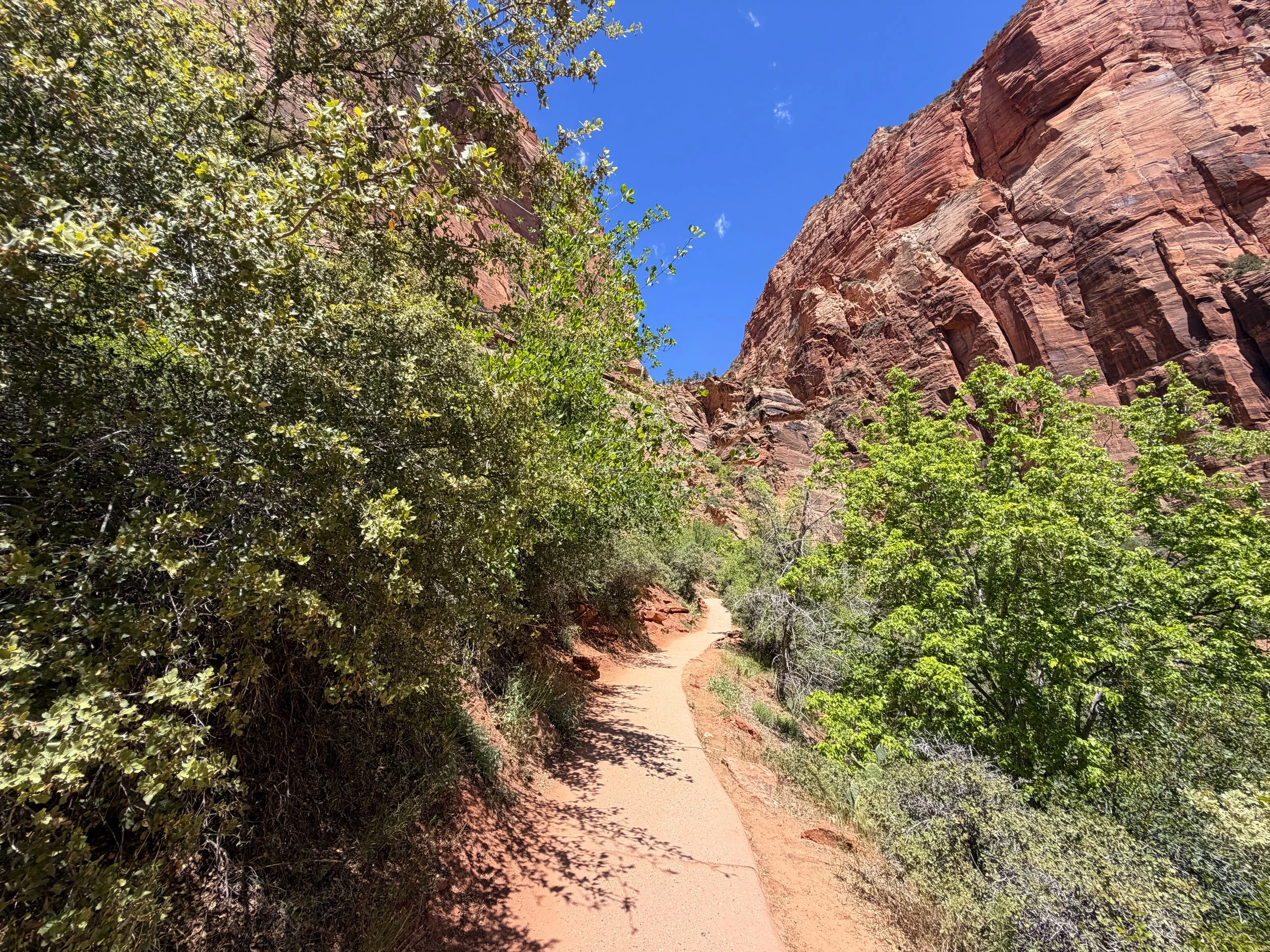 Angels Landing Trail Switchbacks Zion National Park Utah