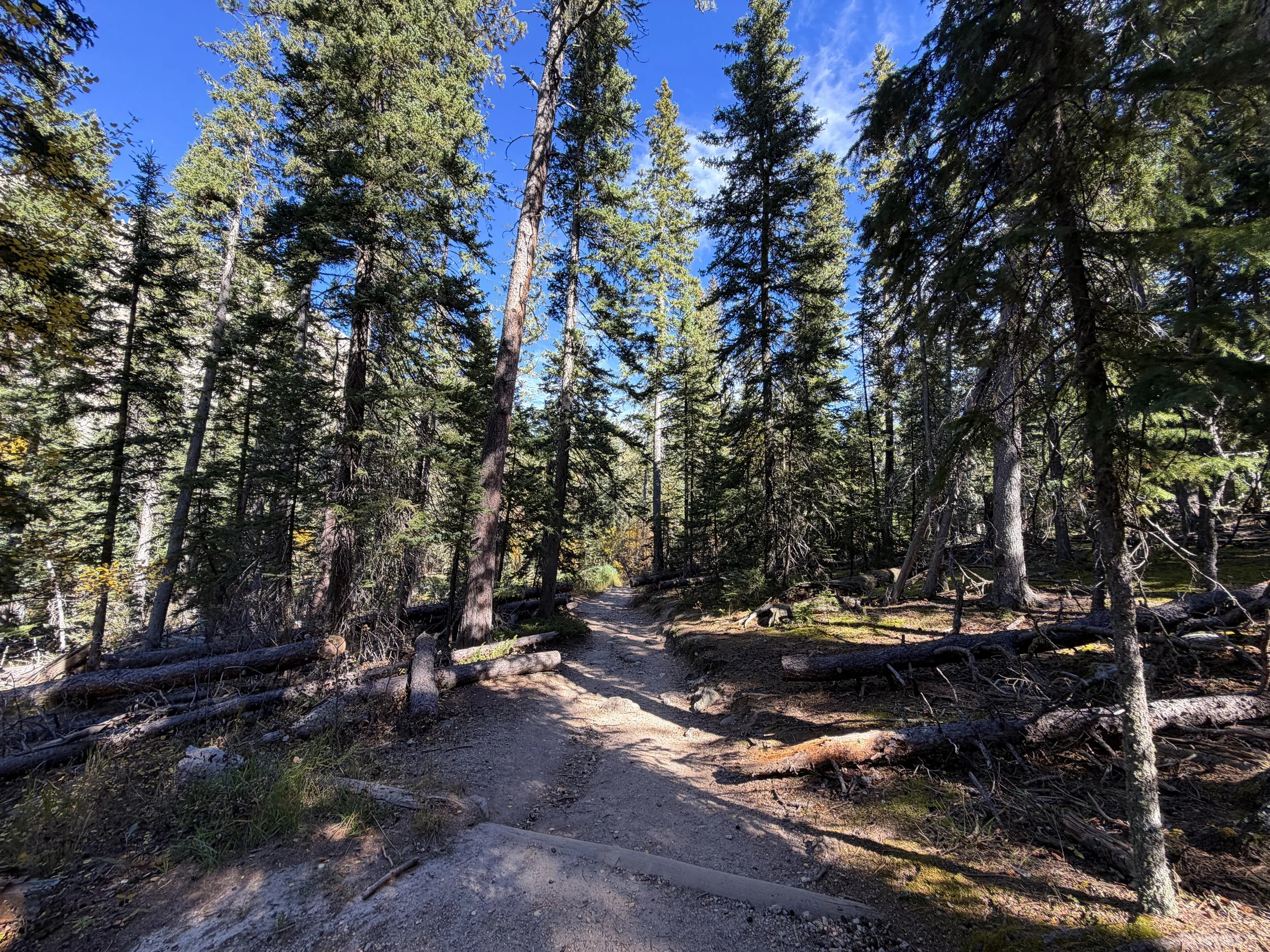 Black Elk Peak Trail Black Hills South Dakota
