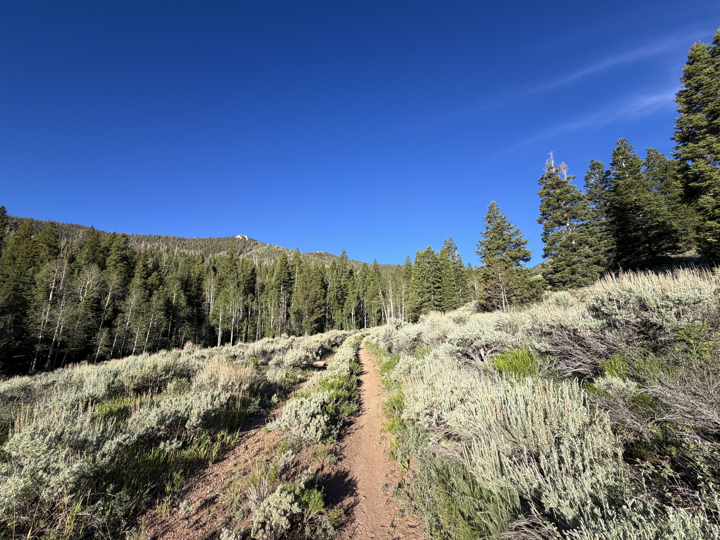 Snake Creek Overlook Trail Great Basin National Park Nevada