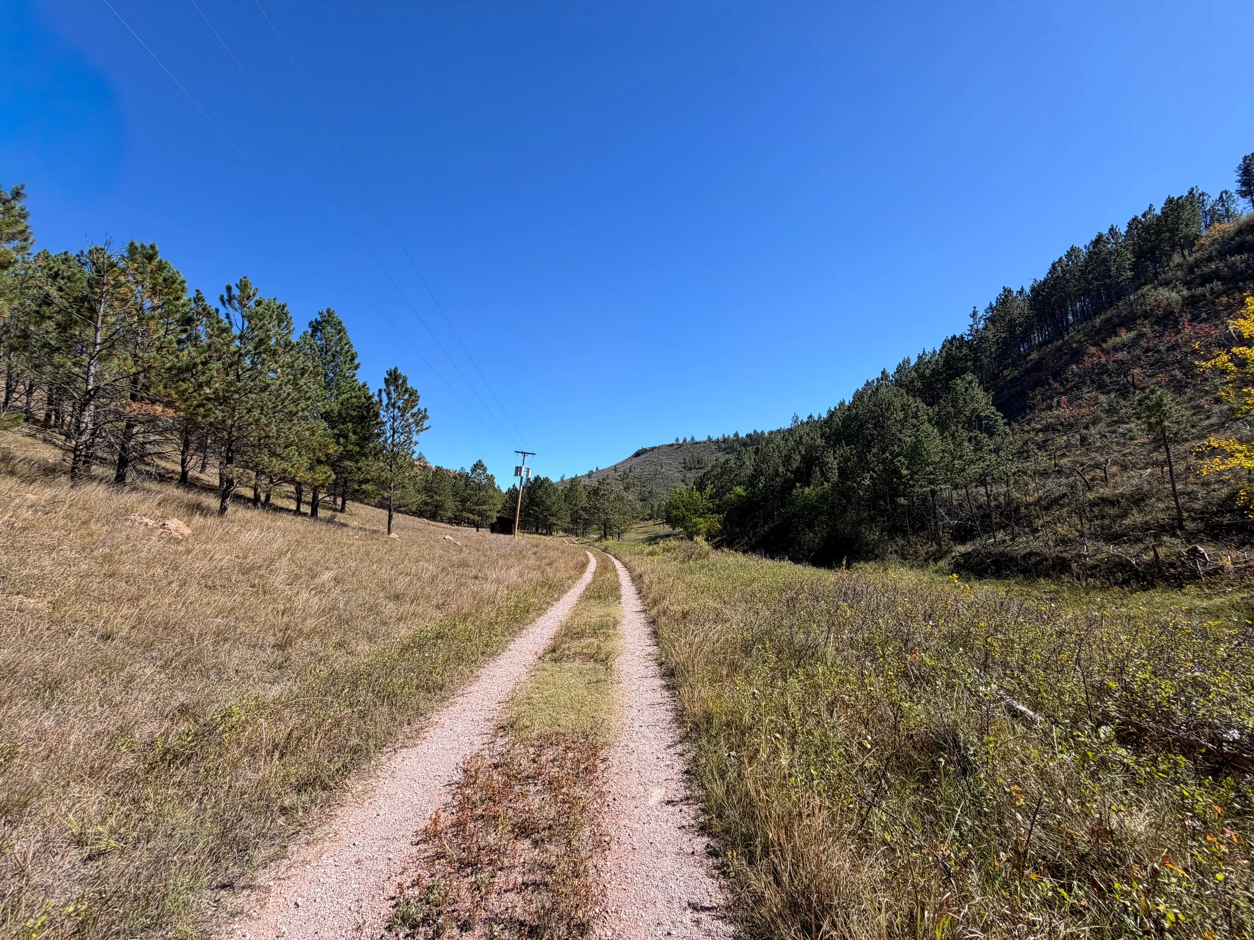 Wind Cave Canyon Trail Wind Cave National Park South Dakota
