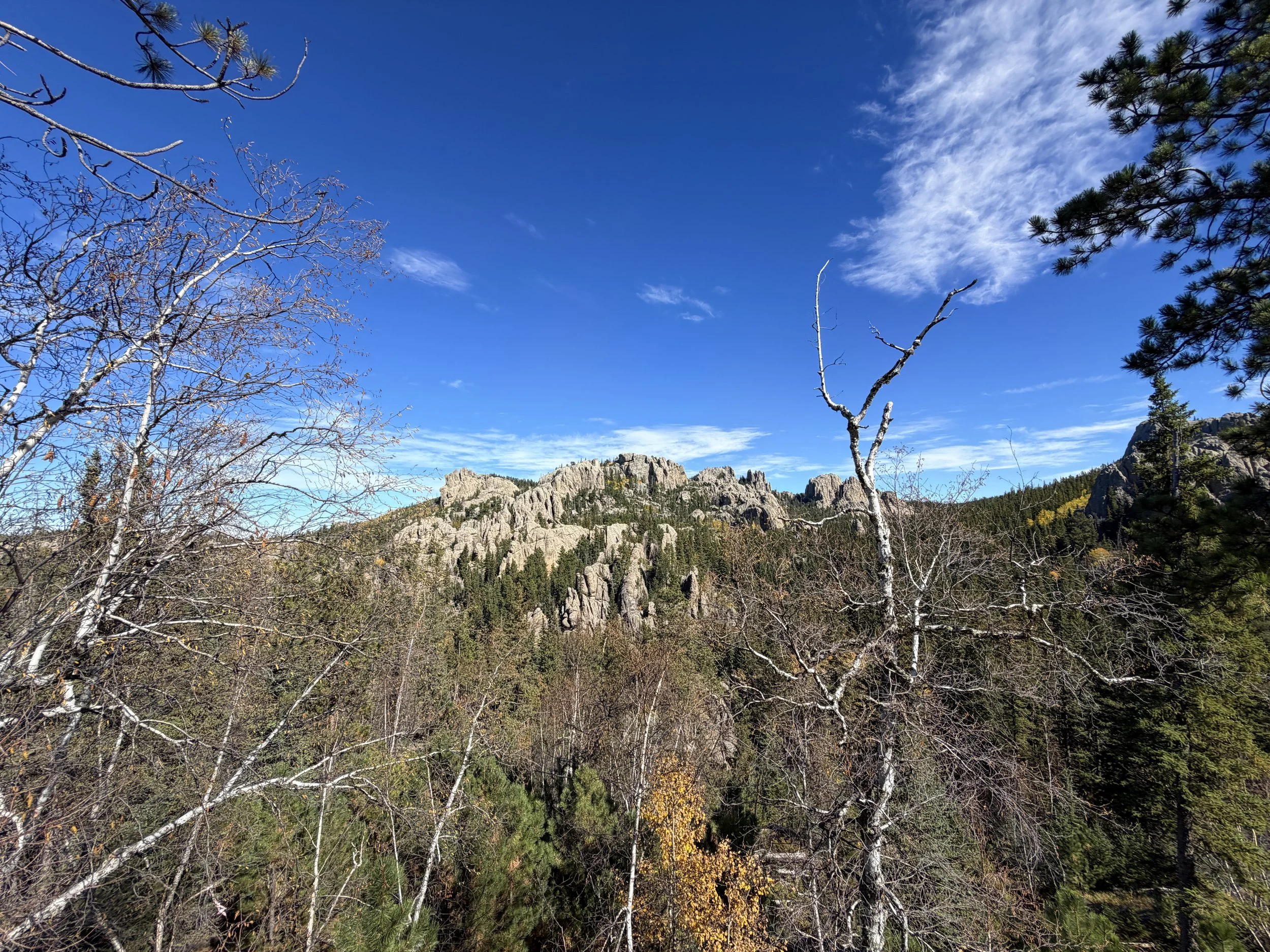 Black Elk Peak Custer State Park Black Hills South Dakota