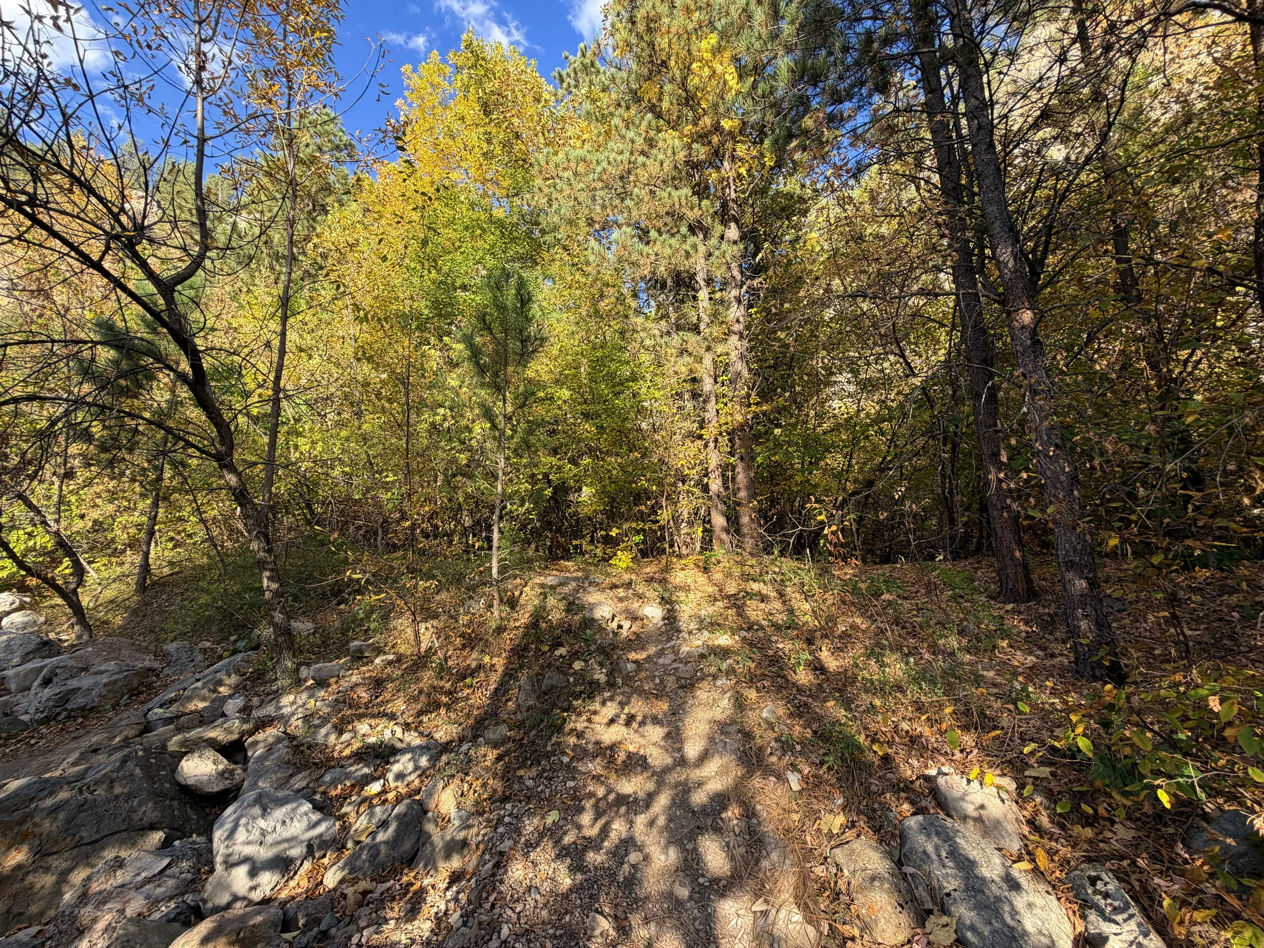 Community Caves Trail Spearfish Canyon Black Hills South Dakota