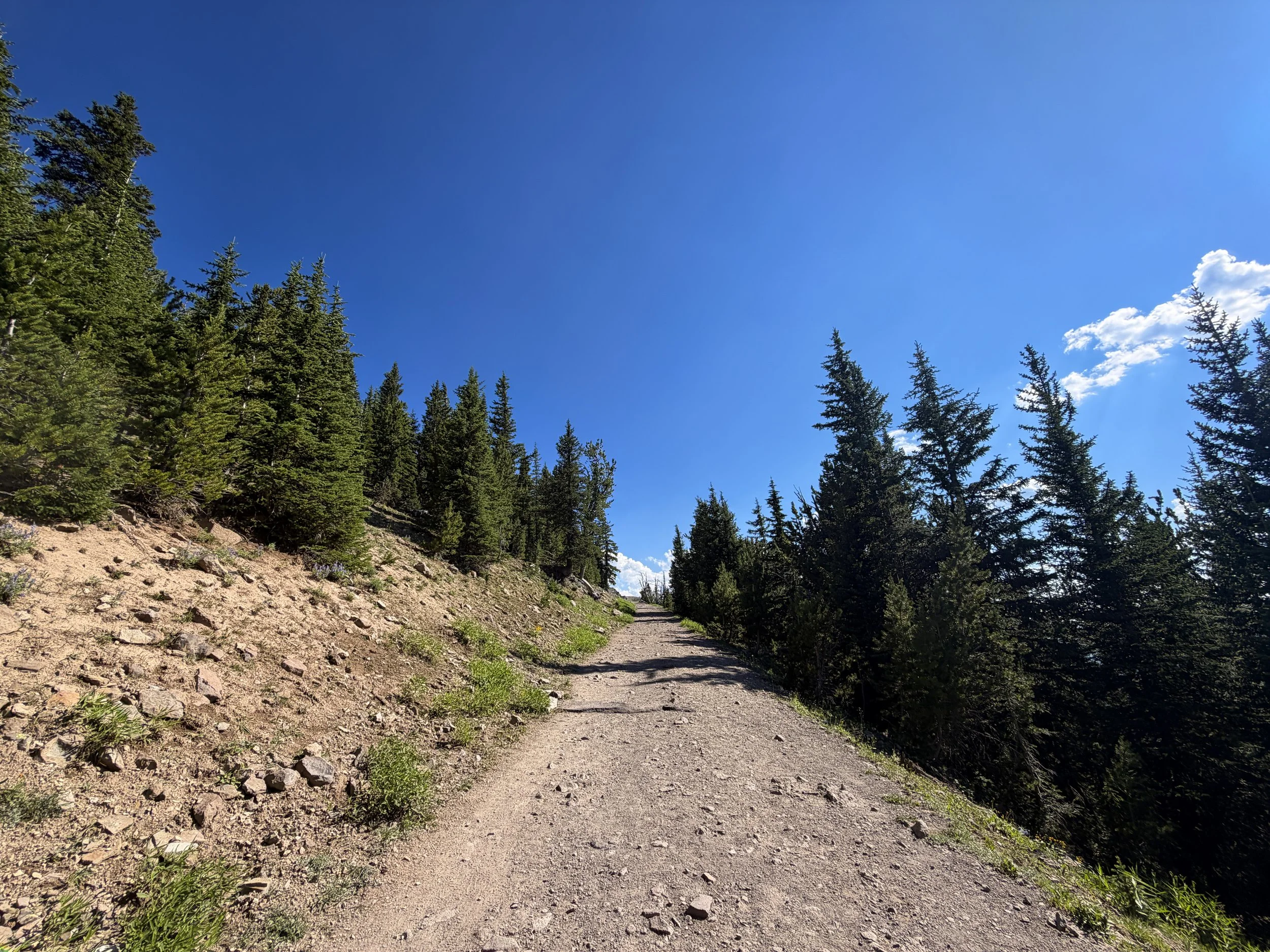 South Mt. Washburn Trail Yellowstone National Park Wyoming