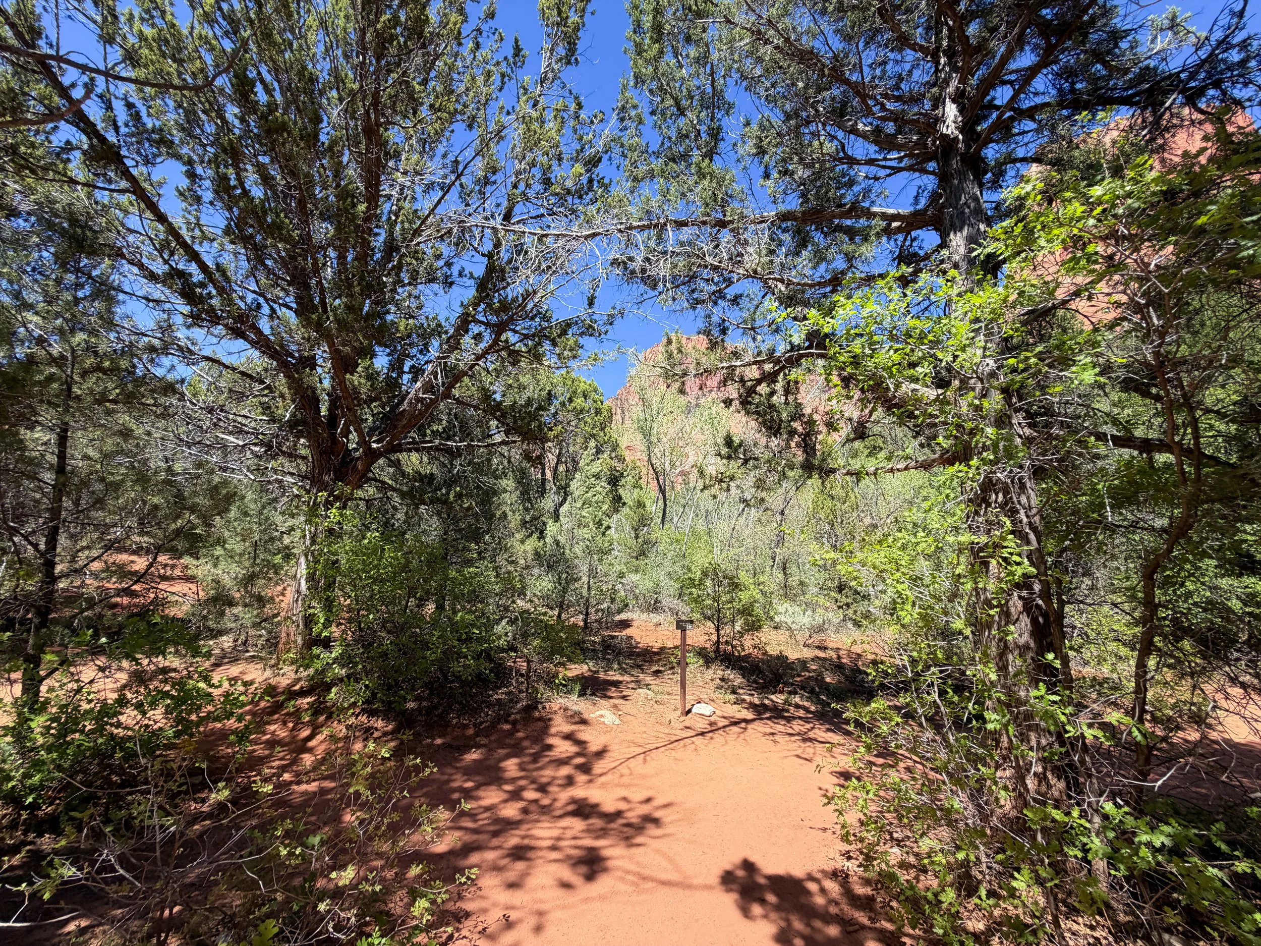 Taylor Creek Trail Zion National Park Utah