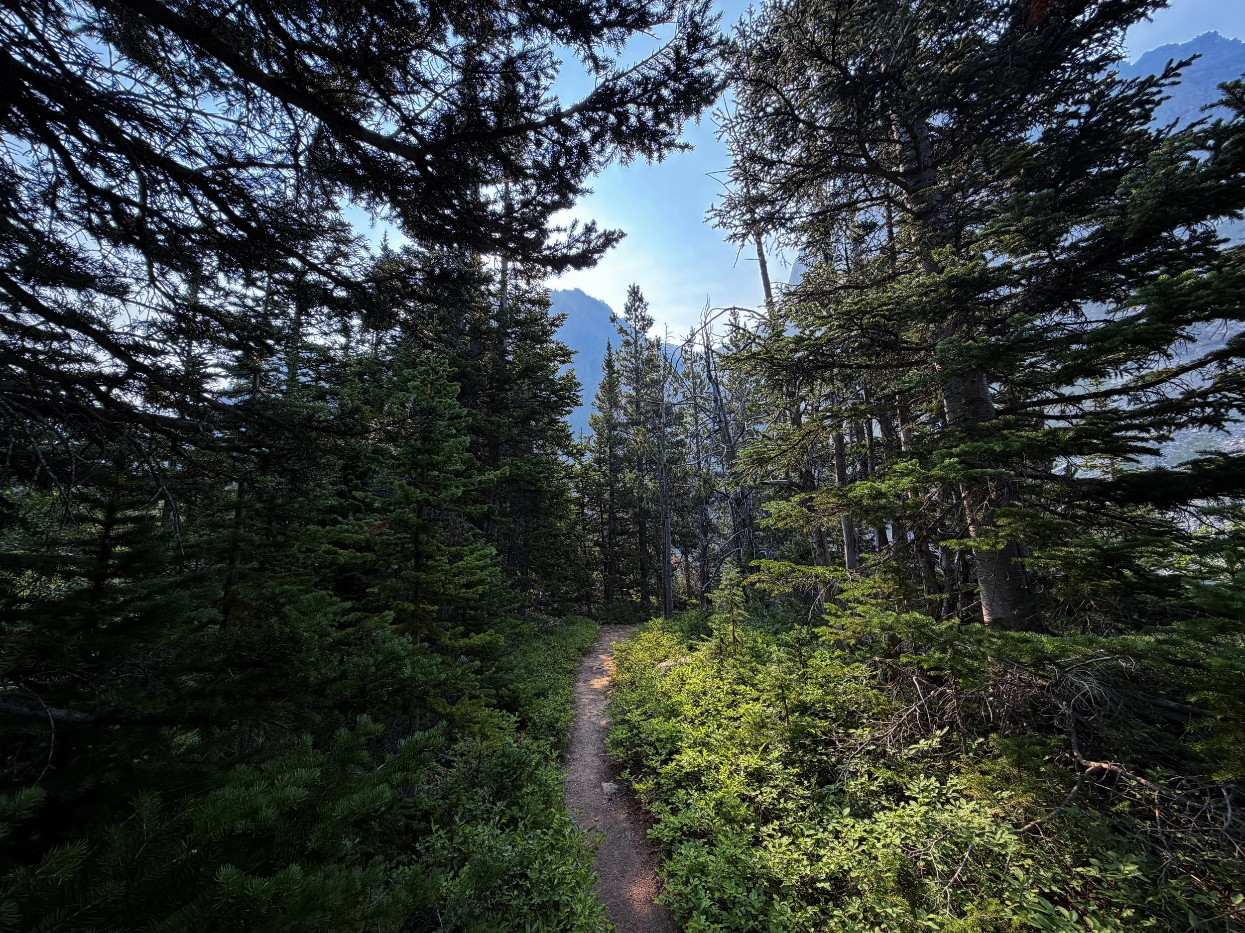 East Rosebud Trail Beaten Path Beartooth Mountains Montana
