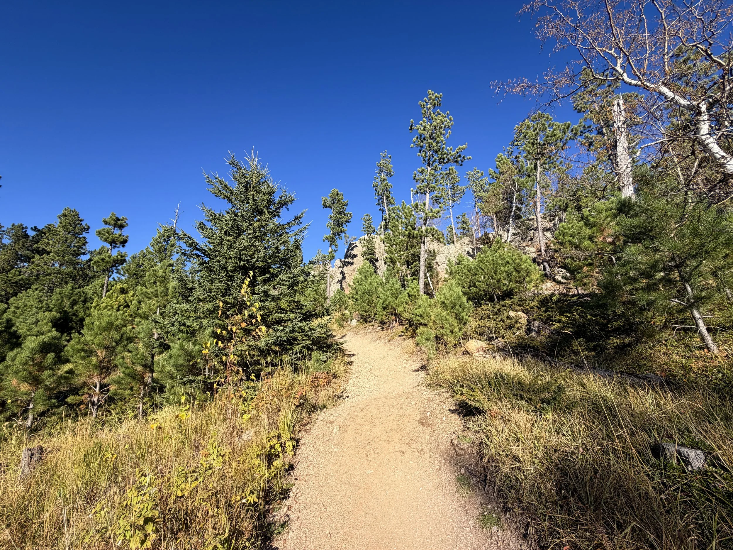 Little Devils Tower Trail Custer State Park Black Hills South Dakota