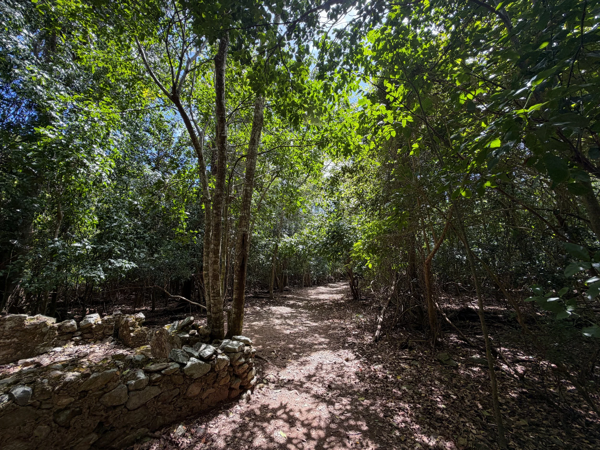 Par Force Village Reef Bay Trail Virgin Islands National Park