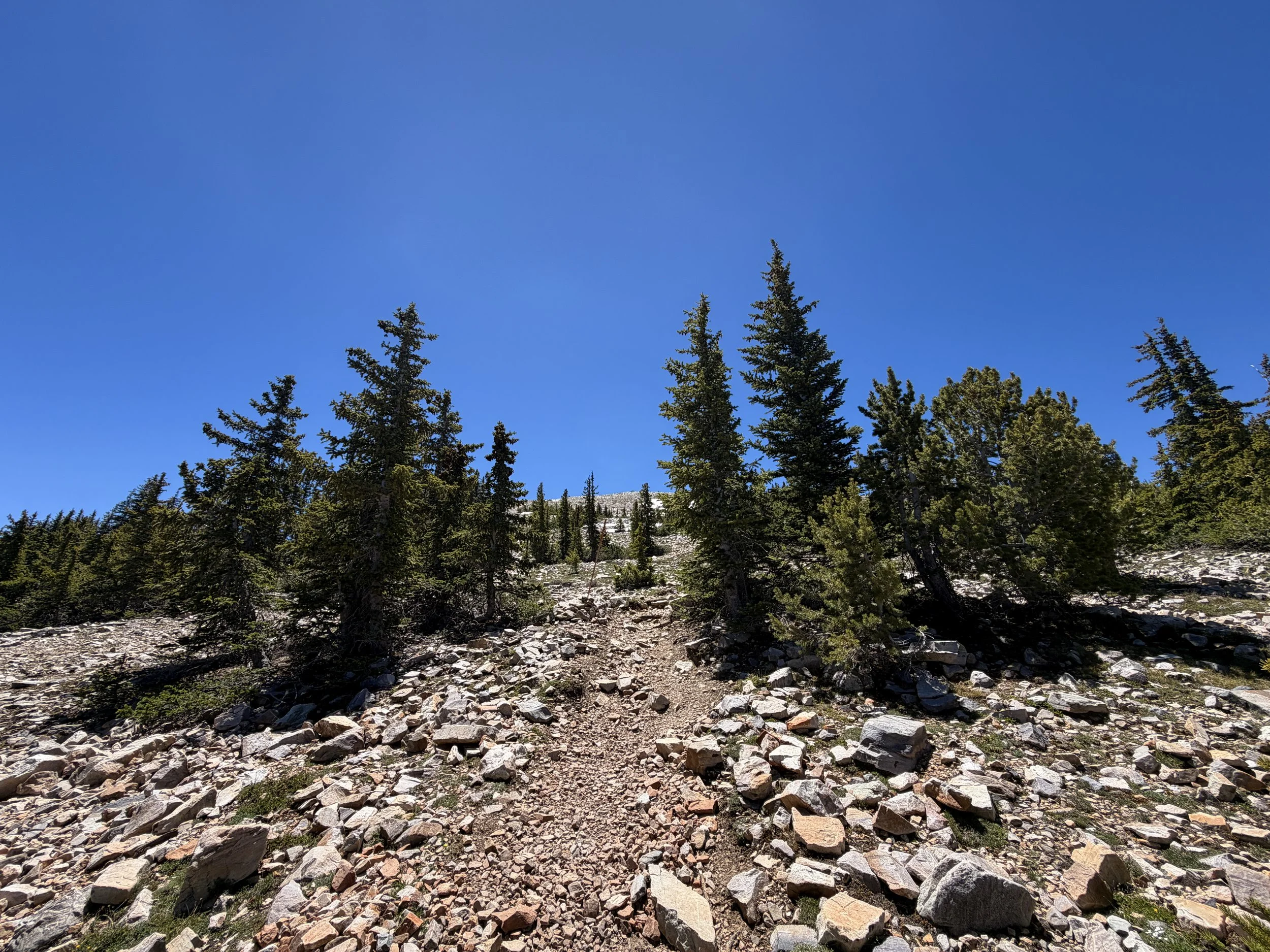 Wheeler Peak Summit Trail Great Basin National Park Nevada