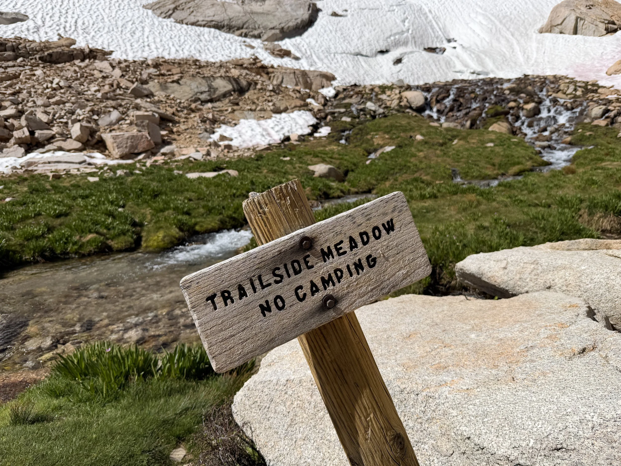 Trailside Meadow Mt. Whitney Trail via Lone Pine California