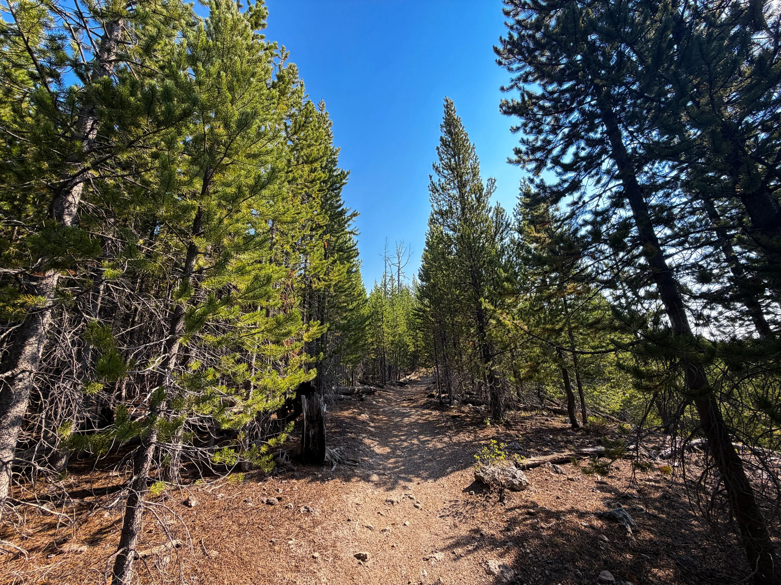 Mystic Falls Loop Trail Yellowstone National Park Wyoming