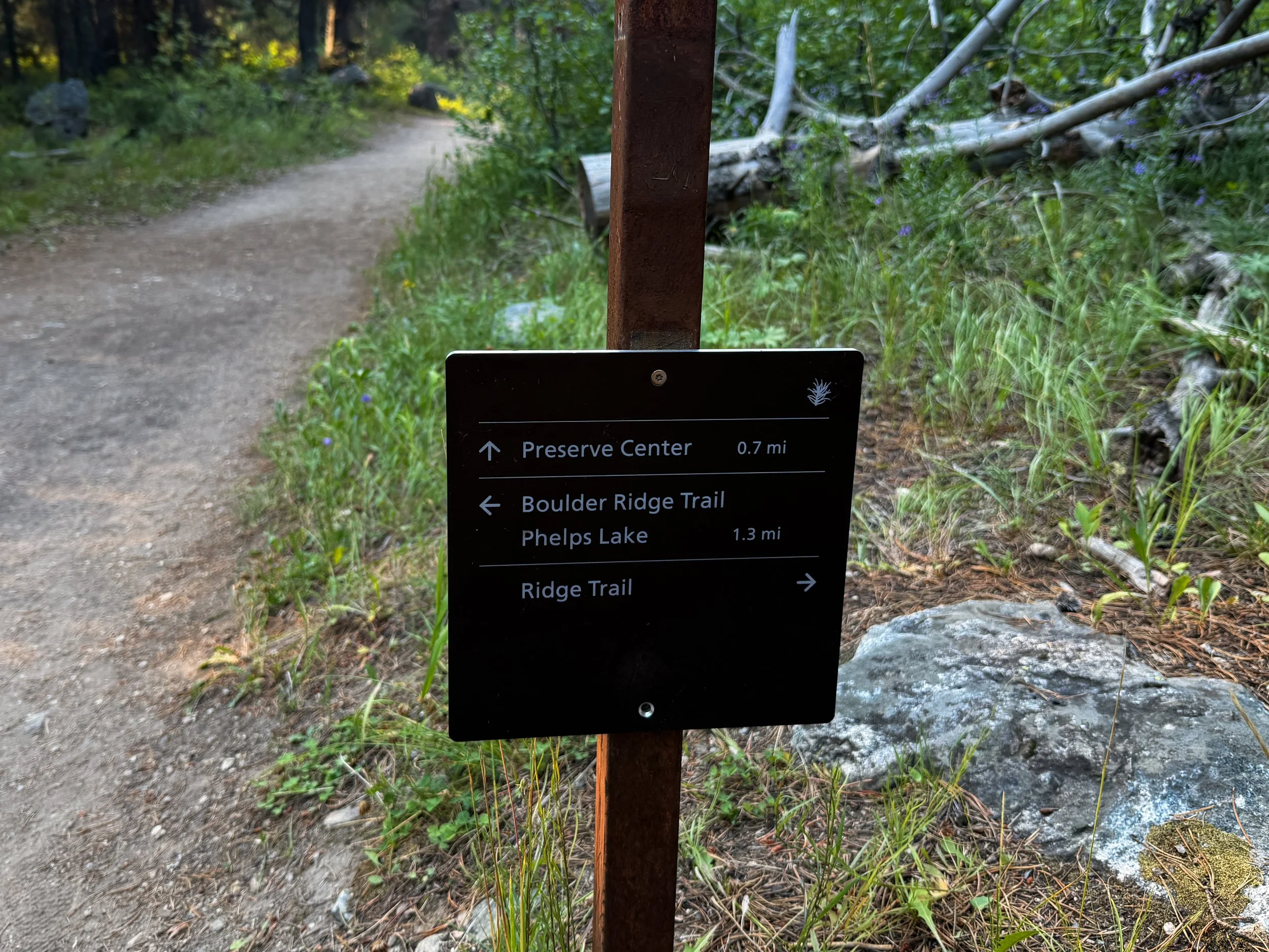 Boulder Ridge Loop Trail Grand Teton National Park Wyoming