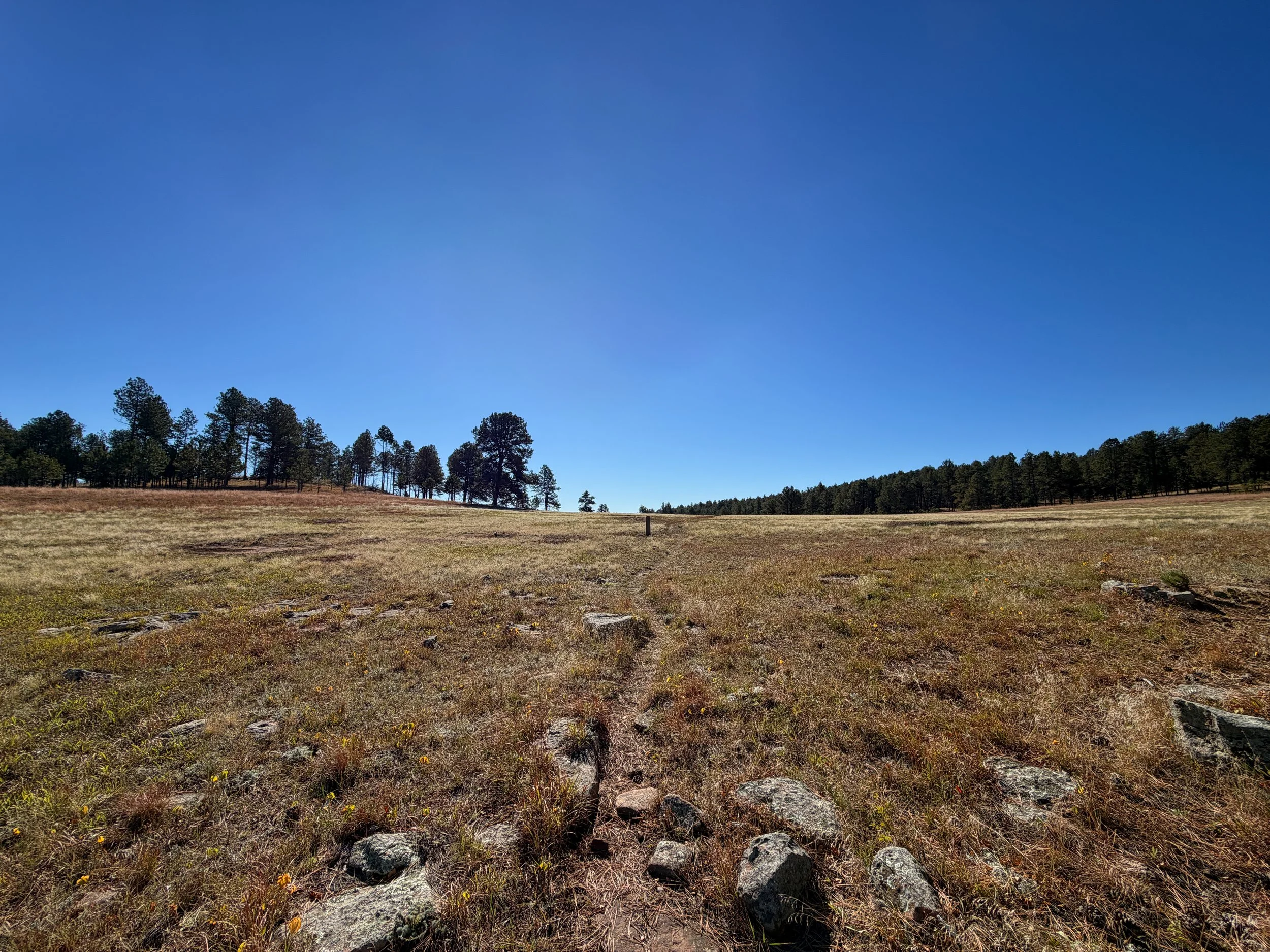 Sanctuary Trail Wind Cave National Park South Dakota