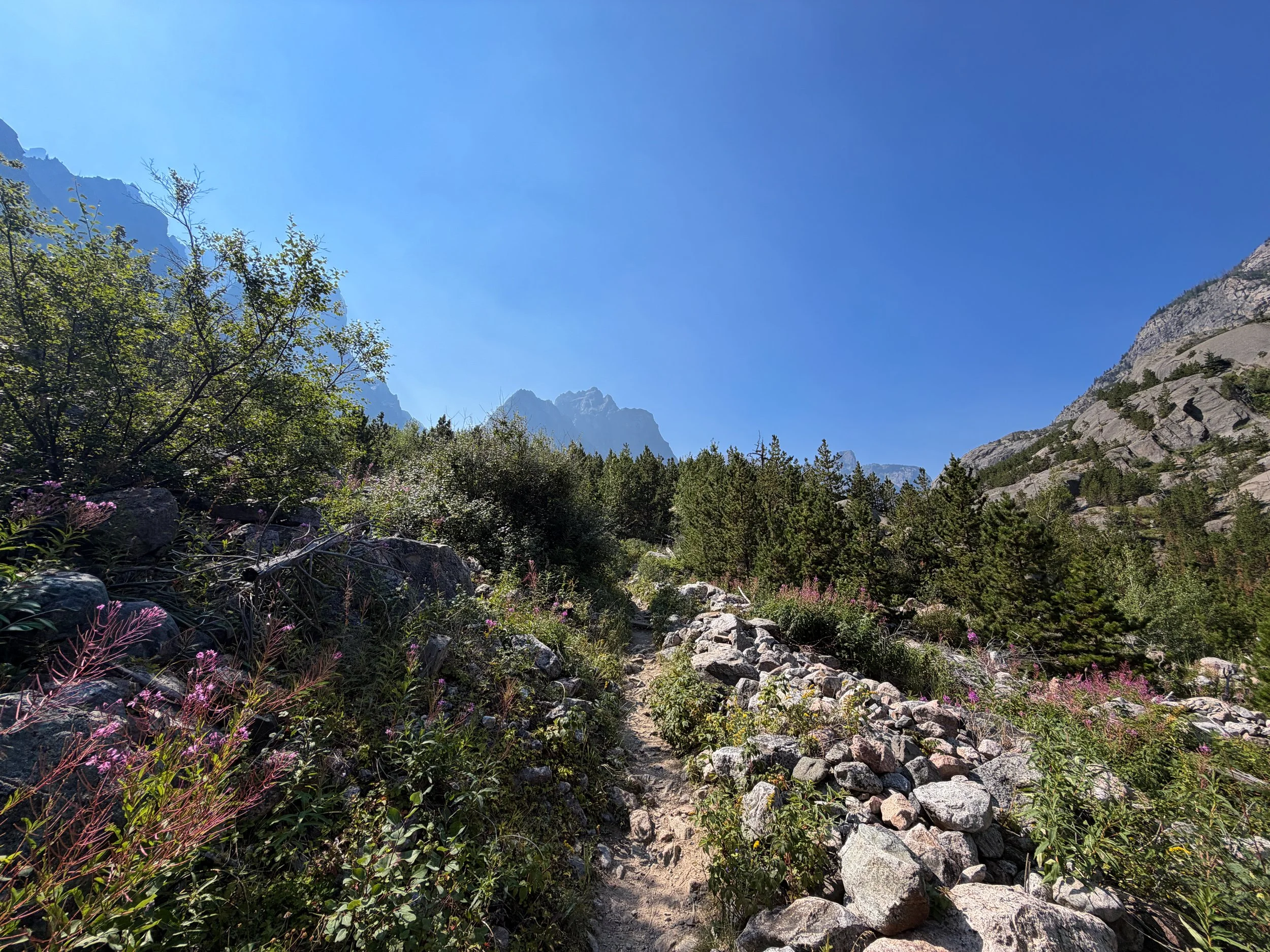 The Beaten Path Trail Beartooth Mountains Montana