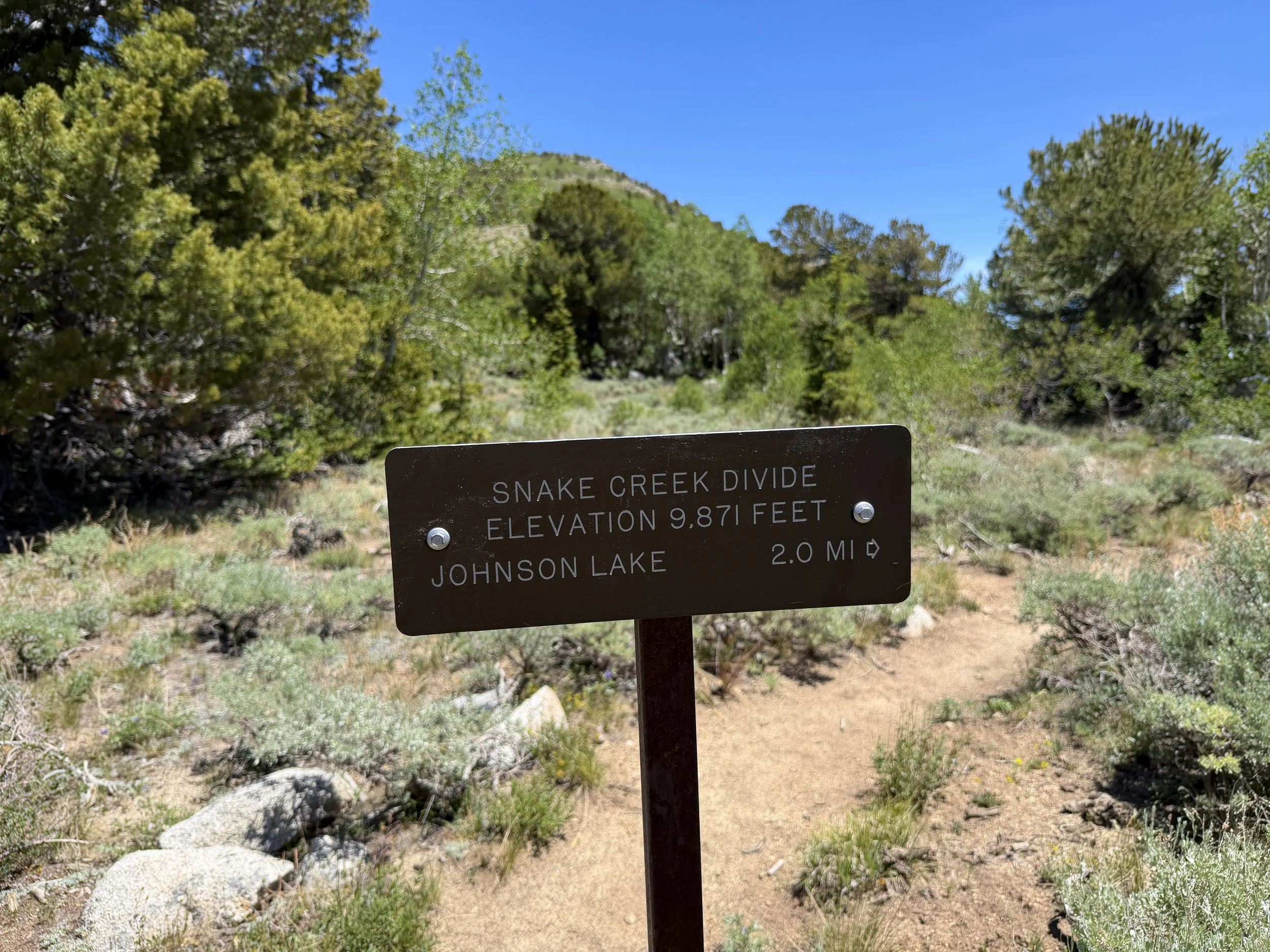 Timber Creek Trail Great Basin National Park Nevada