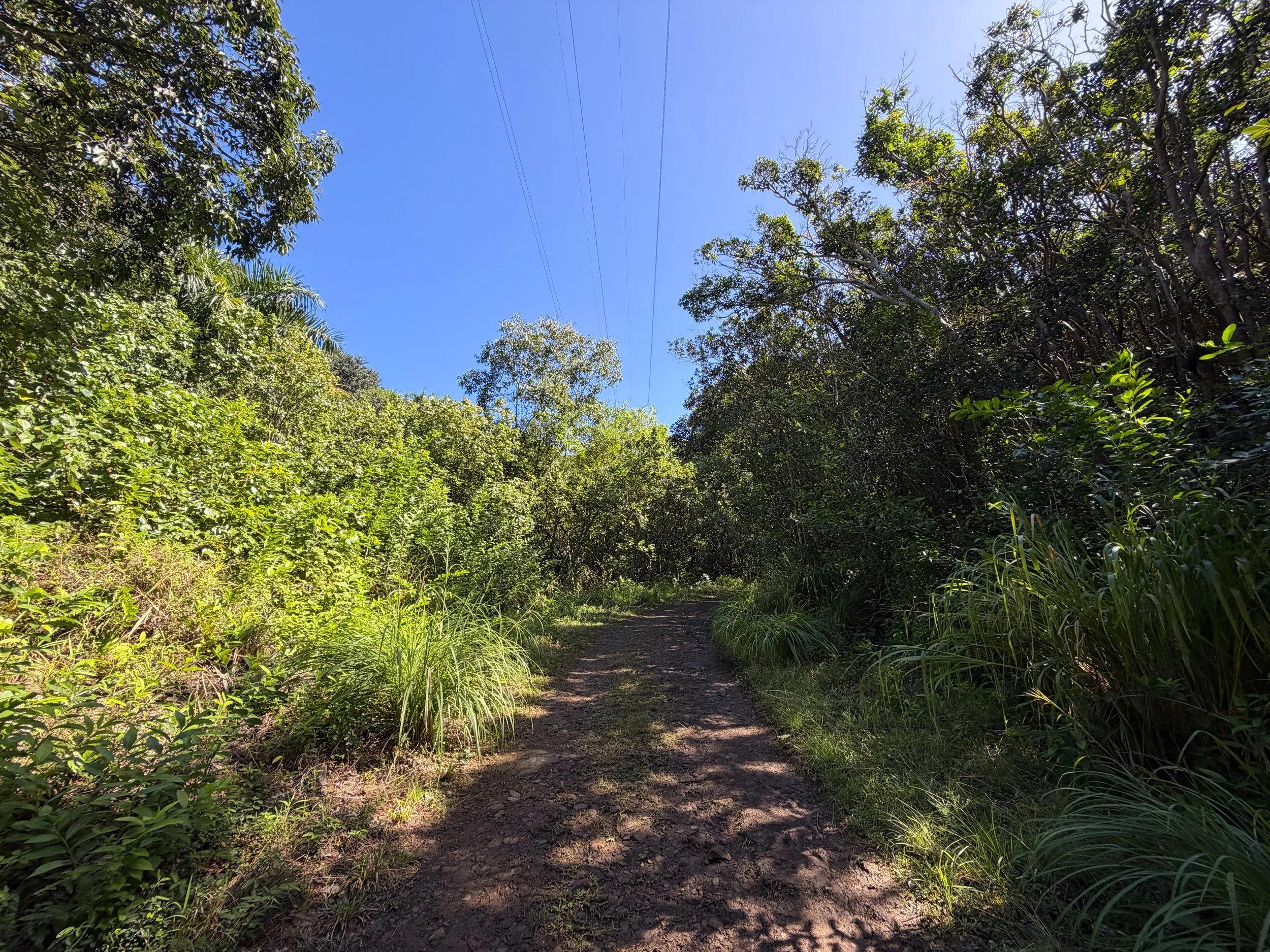 Tripler Ridge Trail via Kamananui Valley Road Oahu Hawaii