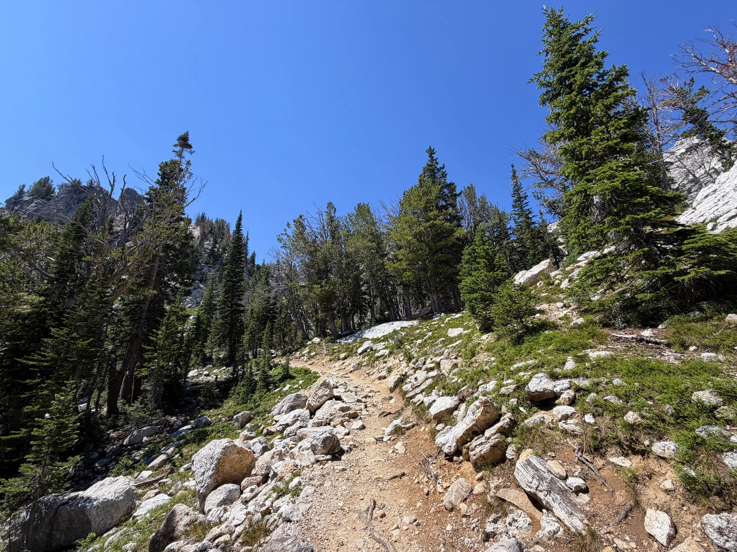 Surprise & Amphitheater Lakes Trail Grand Teton National Park Wyoming