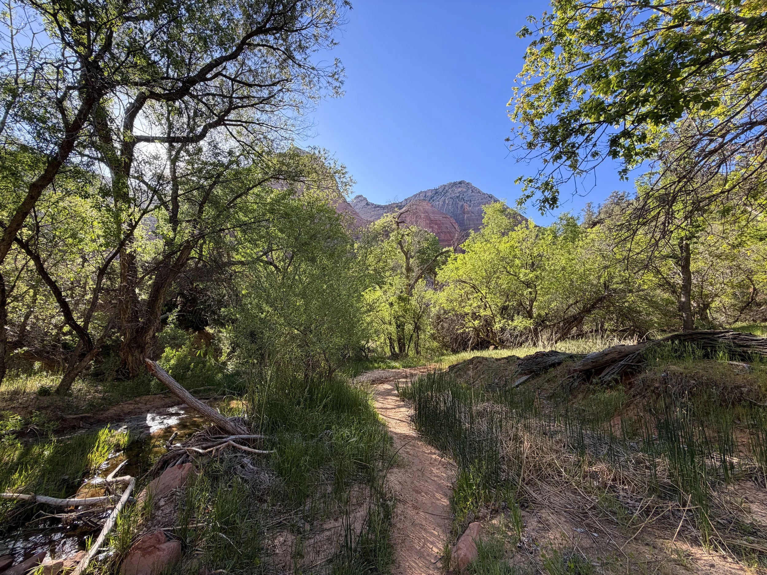 Sand Bench Trail Zion National Park Utah