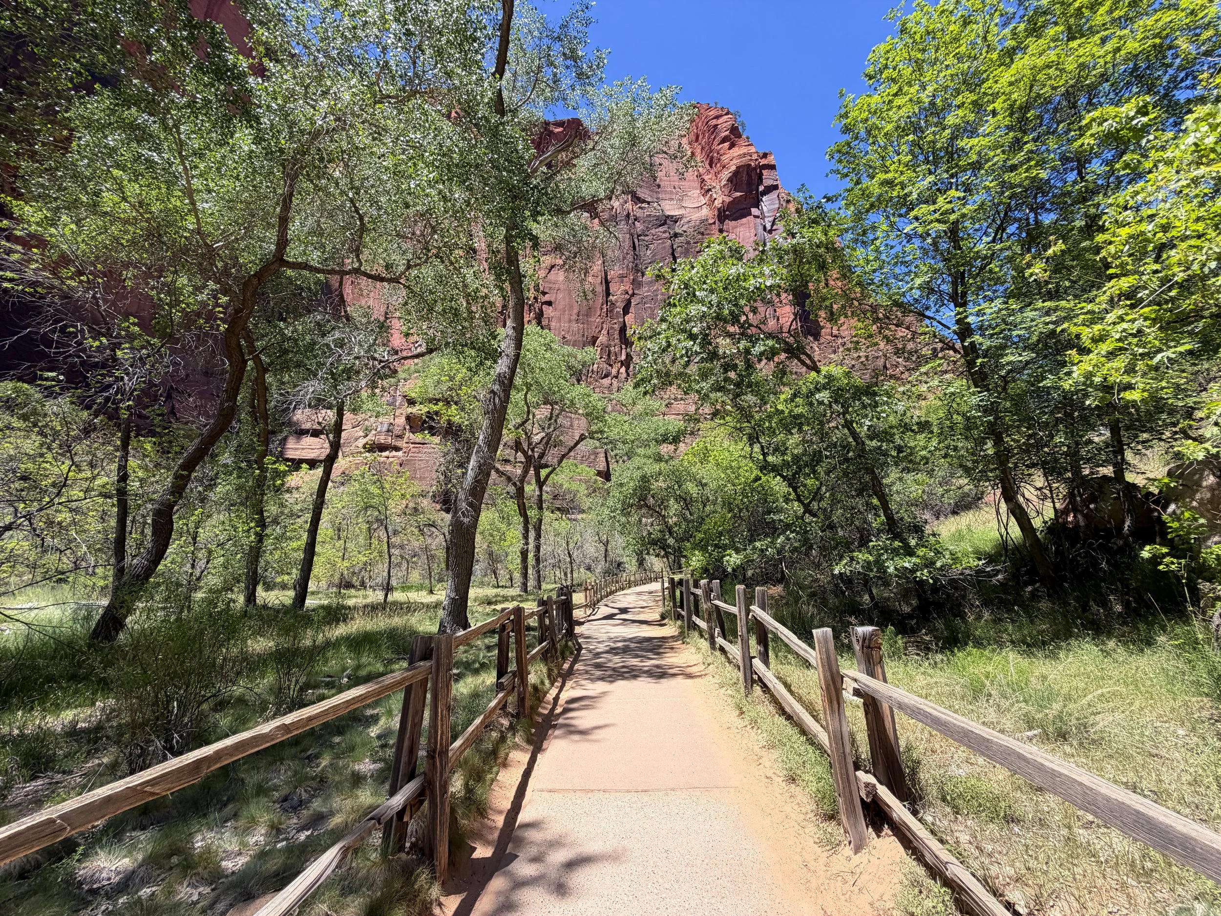 Riverside Walk Zion National Park Utah