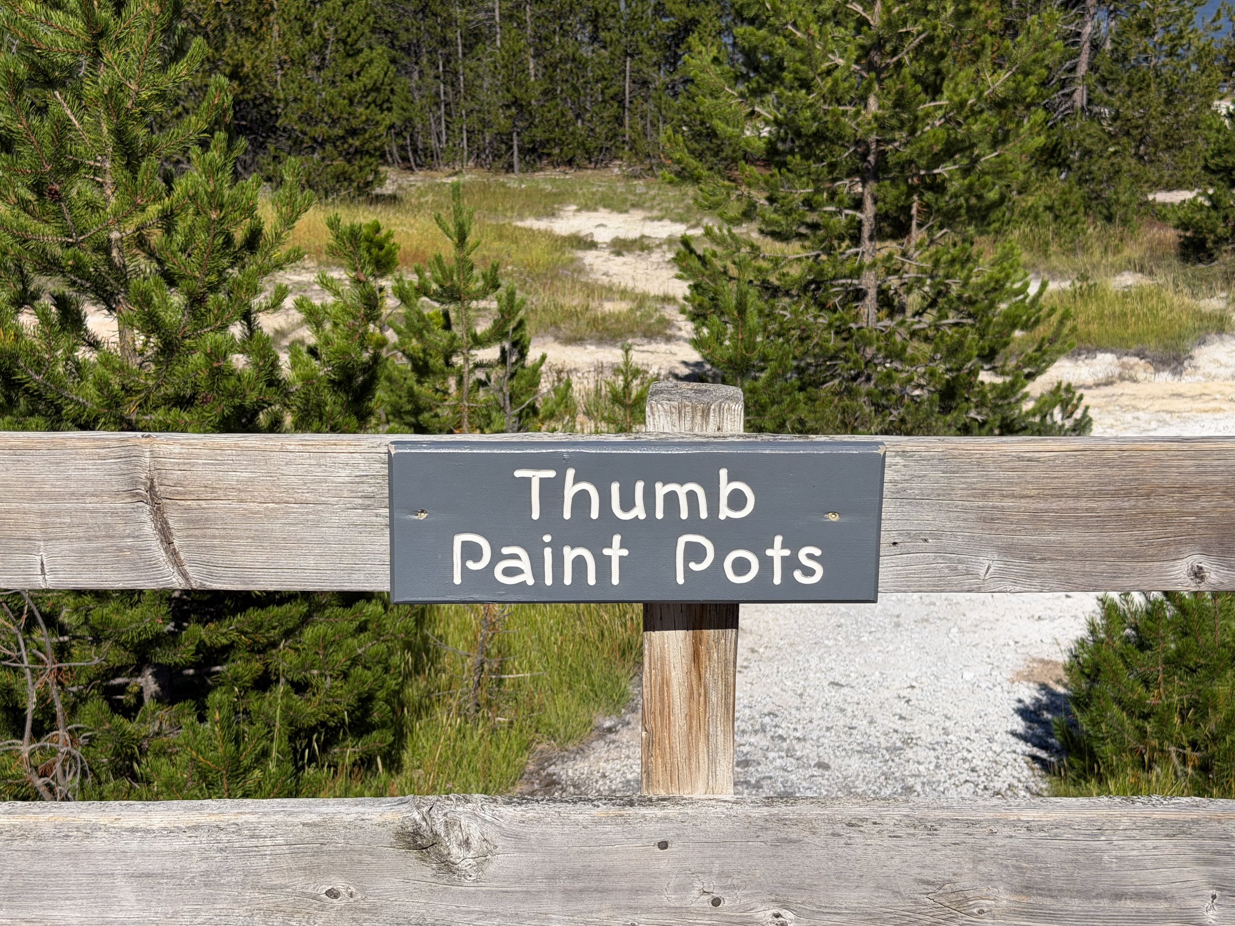 Thumb Paint Pots West Thumb Geyser Basin Trail Yellowstone National Park Wyoming