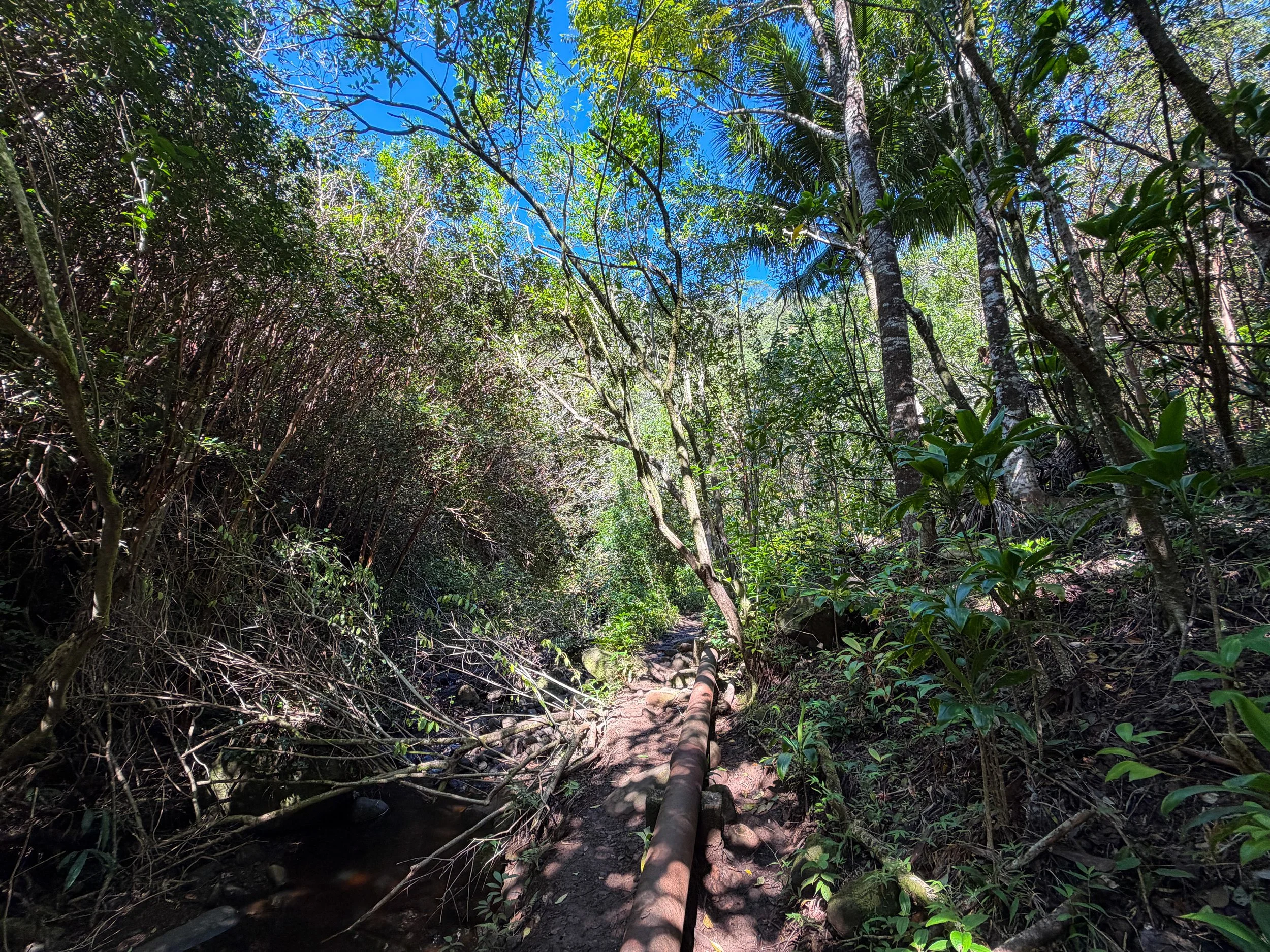 Kaau Crater Hike Oahu Hawaii
